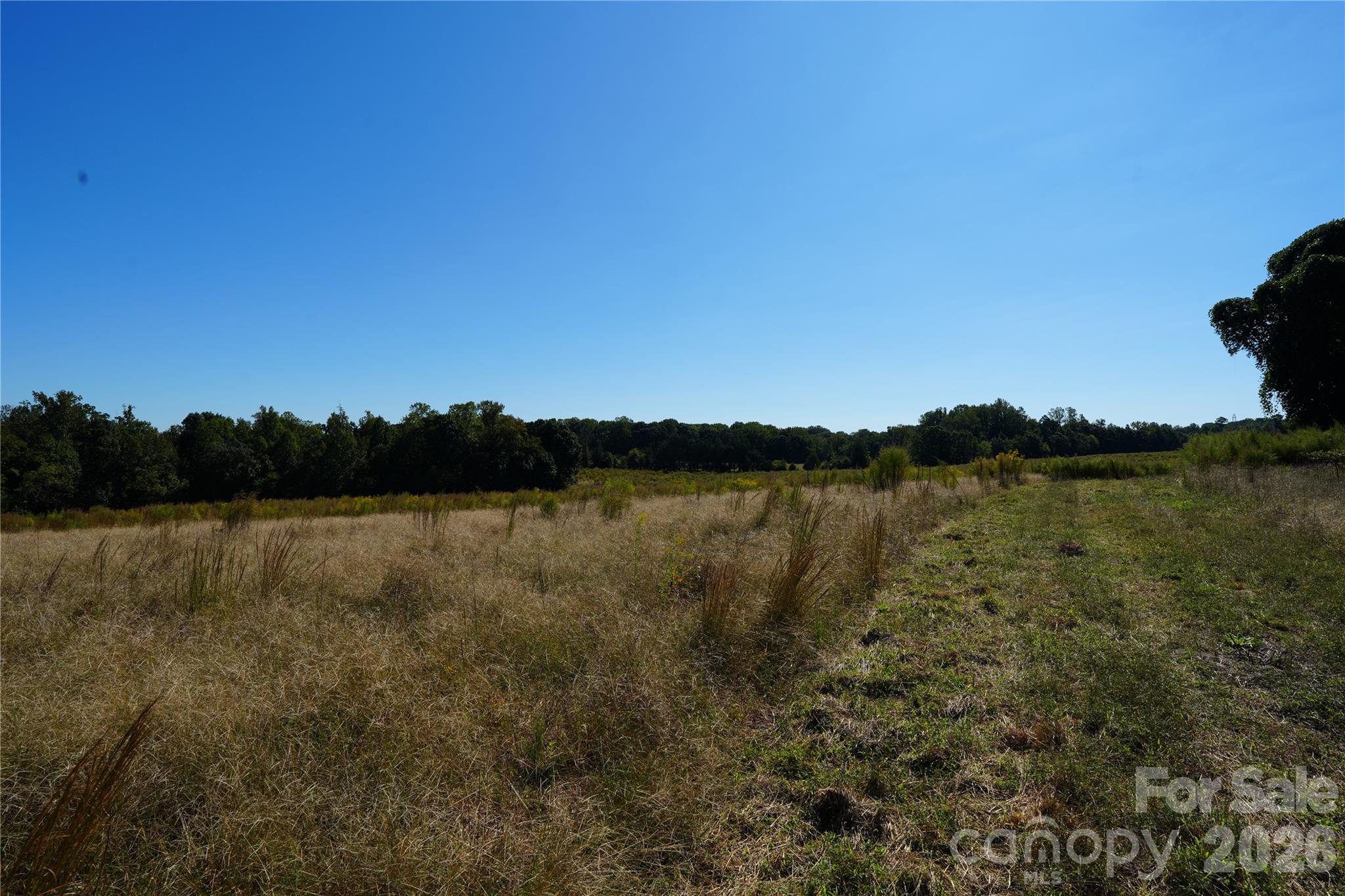 Acreage at 10ac Log Drive, Statesville, photo 4 of 9