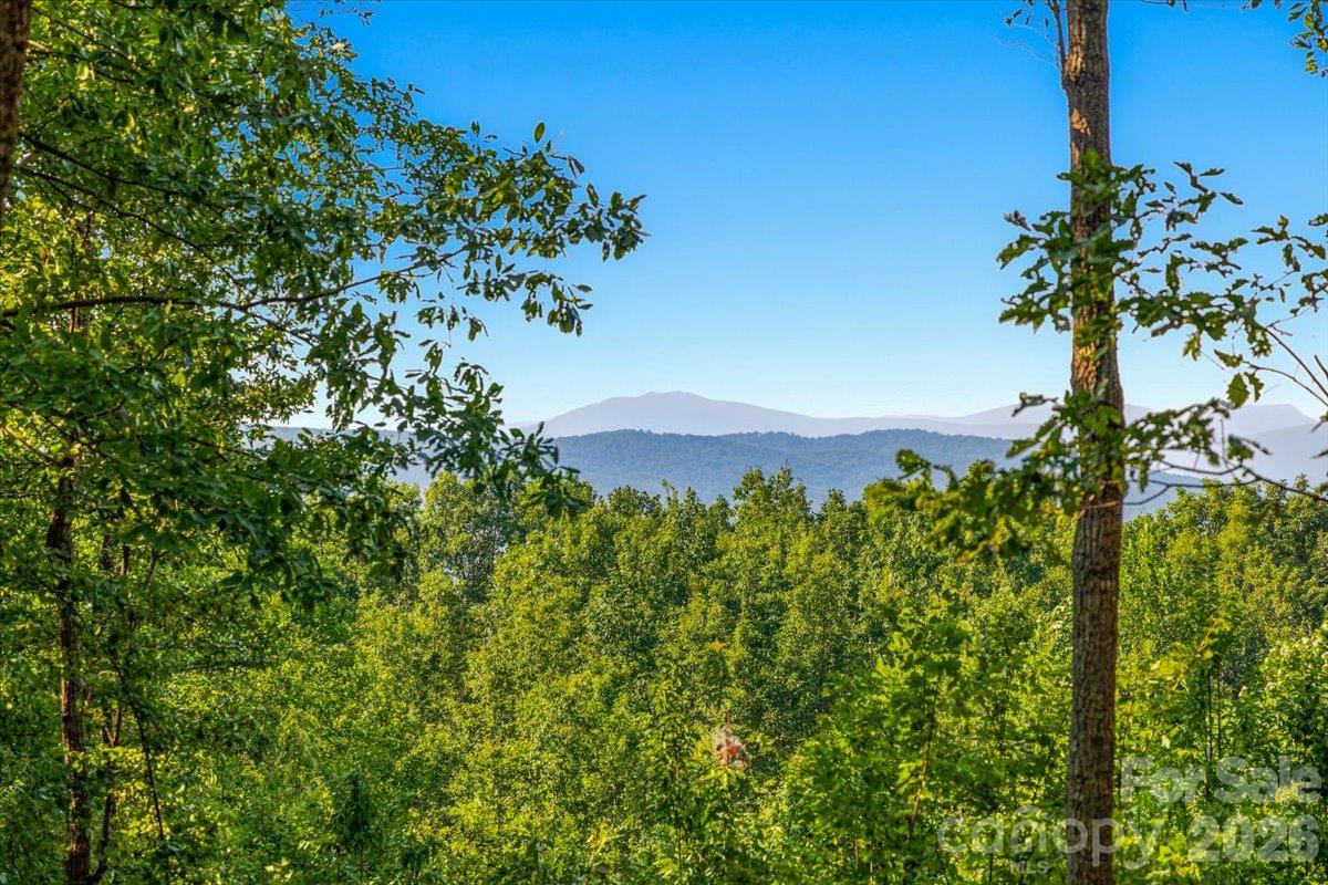 149 + 207 Mossy Oak Trail