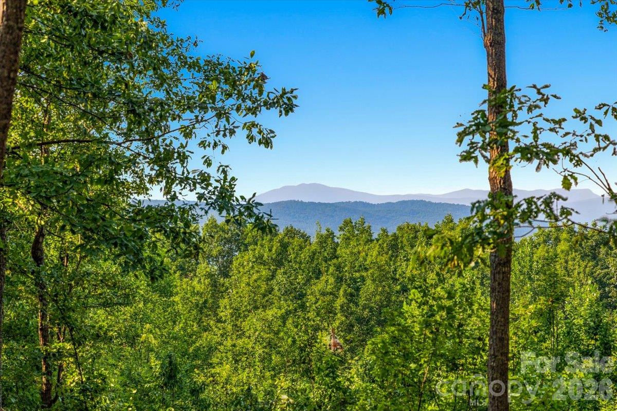 Lot at 149 + 207 Mossy Oak Trail, Nebo, photo 3 of 45