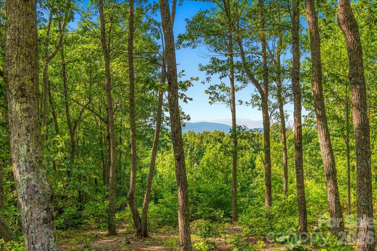 Lot at 149 + 207 Mossy Oak Trail, Nebo, photo 4 of 45