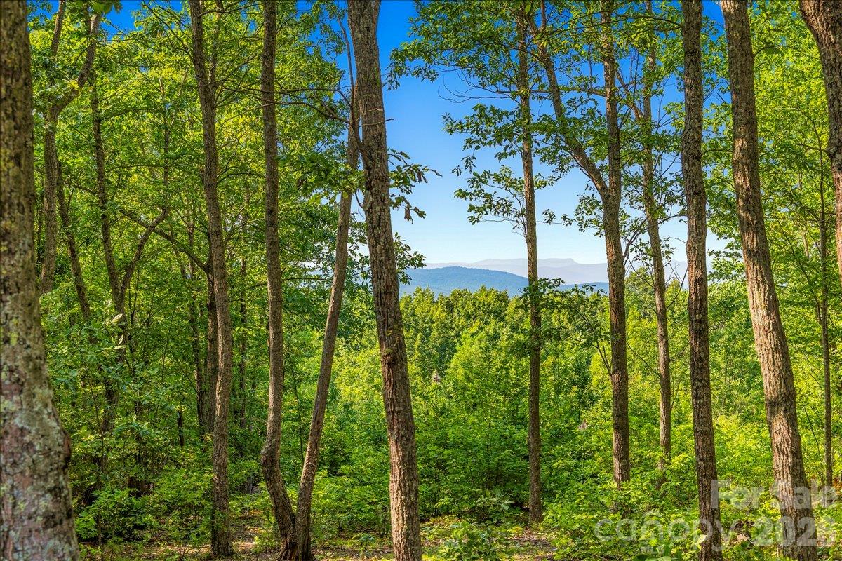 Lot at 149 + 207 Mossy Oak Trail, Nebo, photo 6 of 45