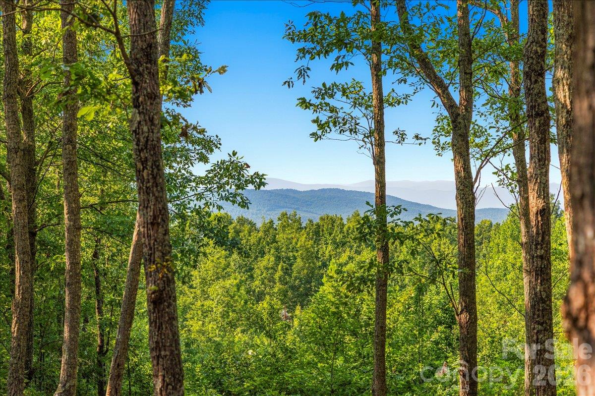 Lot at 149 + 207 Mossy Oak Trail, Nebo, photo 7 of 45