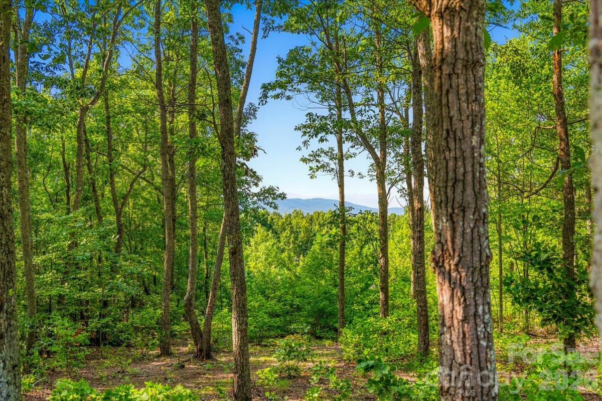 Lot at 149 + 207 Mossy Oak Trail, Nebo, photo 8 of 45