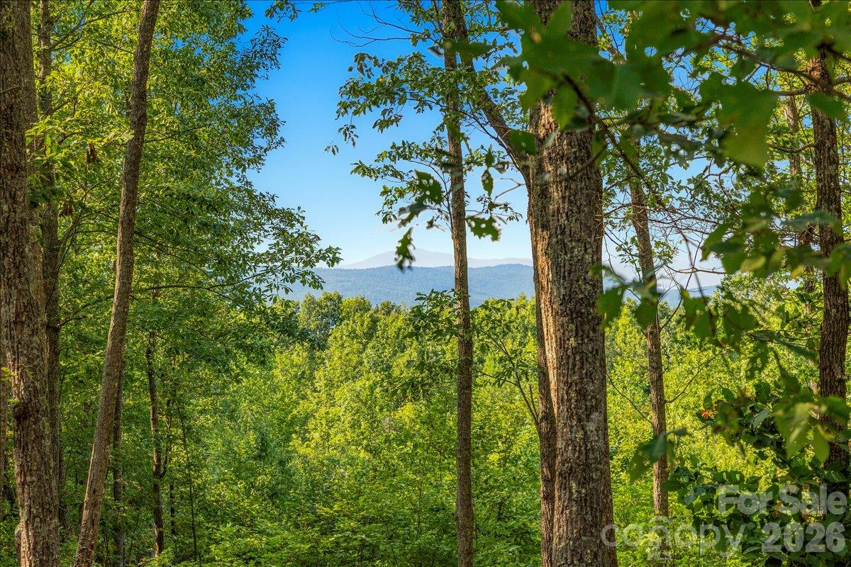 Lot at 149 + 207 Mossy Oak Trail, Nebo, photo 9 of 45