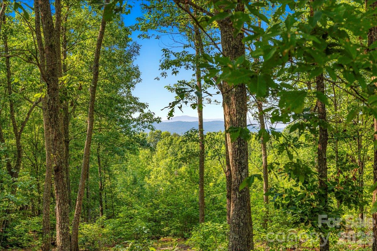 Lot at 149 + 207 Mossy Oak Trail, Nebo, photo 10 of 45