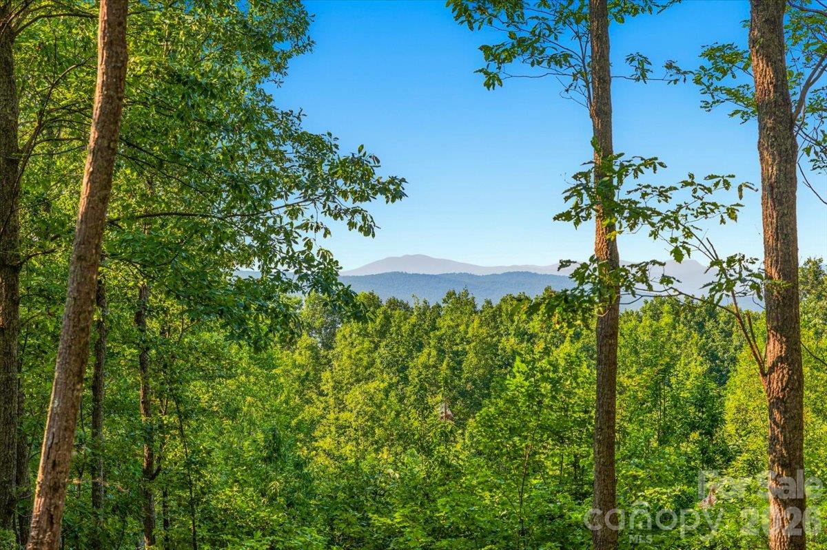 Lot at 149 + 207 Mossy Oak Trail, Nebo, photo 11 of 45