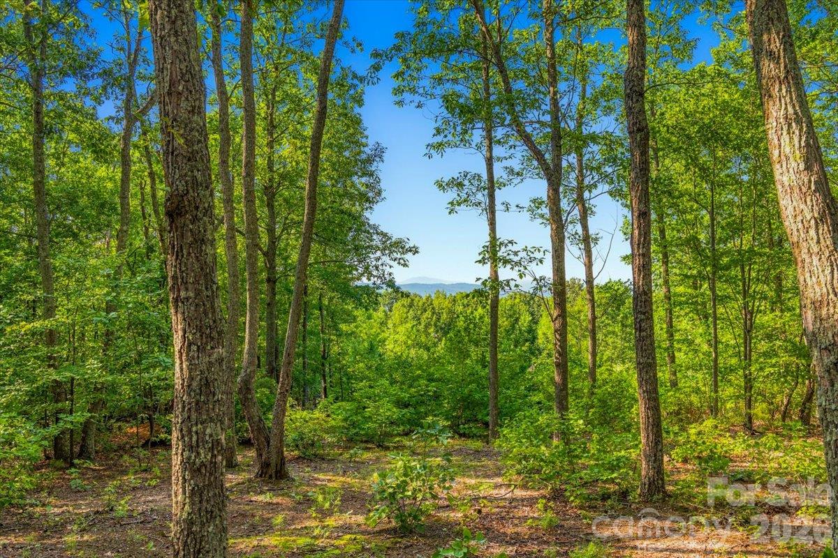 Lot at 149 + 207 Mossy Oak Trail, Nebo, photo 12 of 45