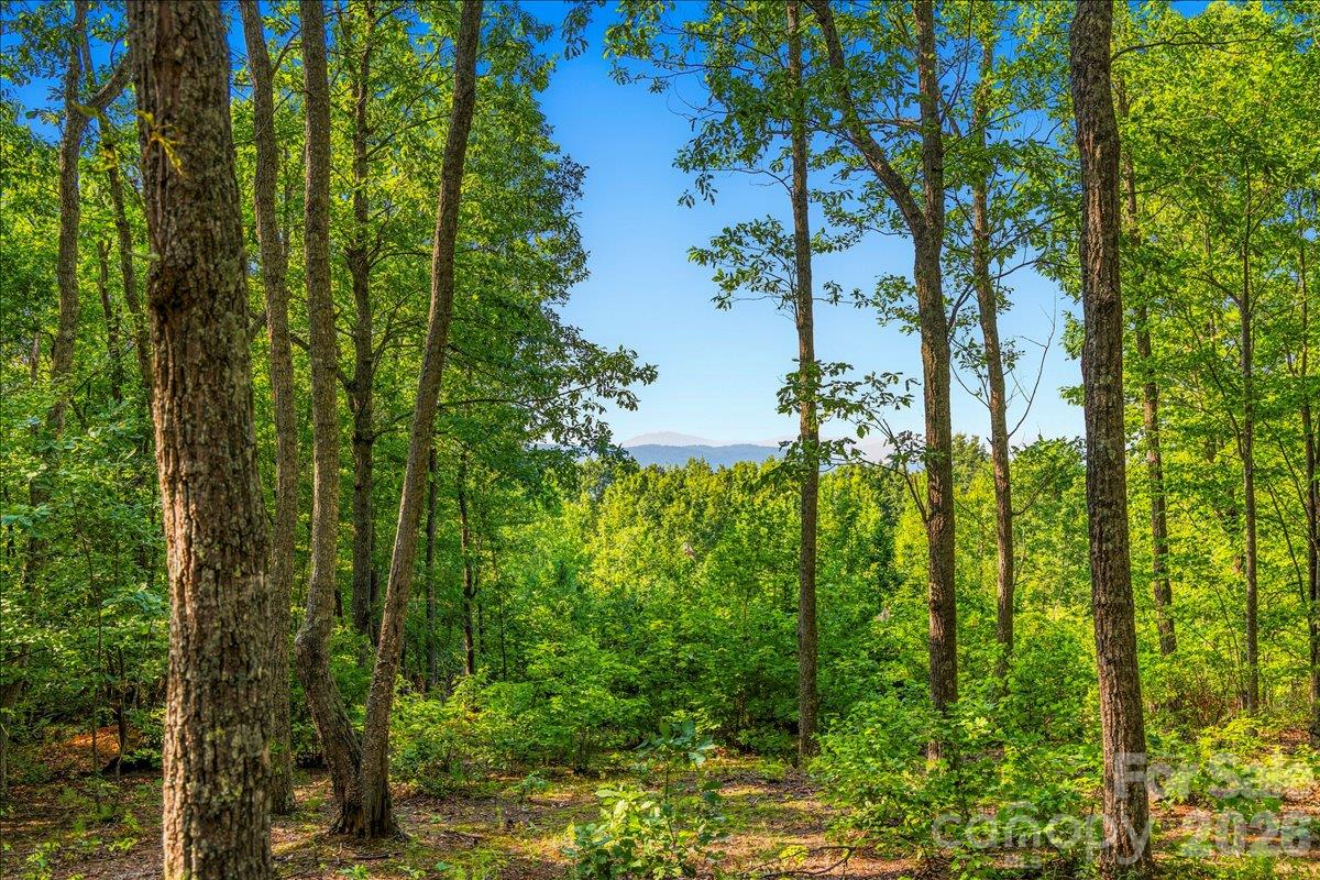 Lot at 149 + 207 Mossy Oak Trail, Nebo, photo 13 of 45