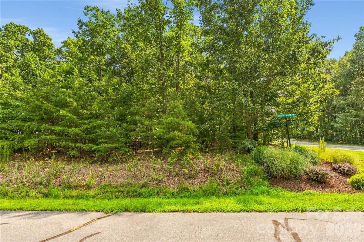 Lot at 149 + 207 Mossy Oak Trail, Nebo, photo 42 of 45