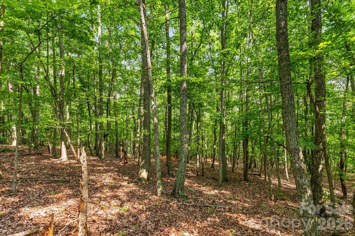 Lot at 149 + 207 Mossy Oak Trail, Nebo, photo 44 of 45