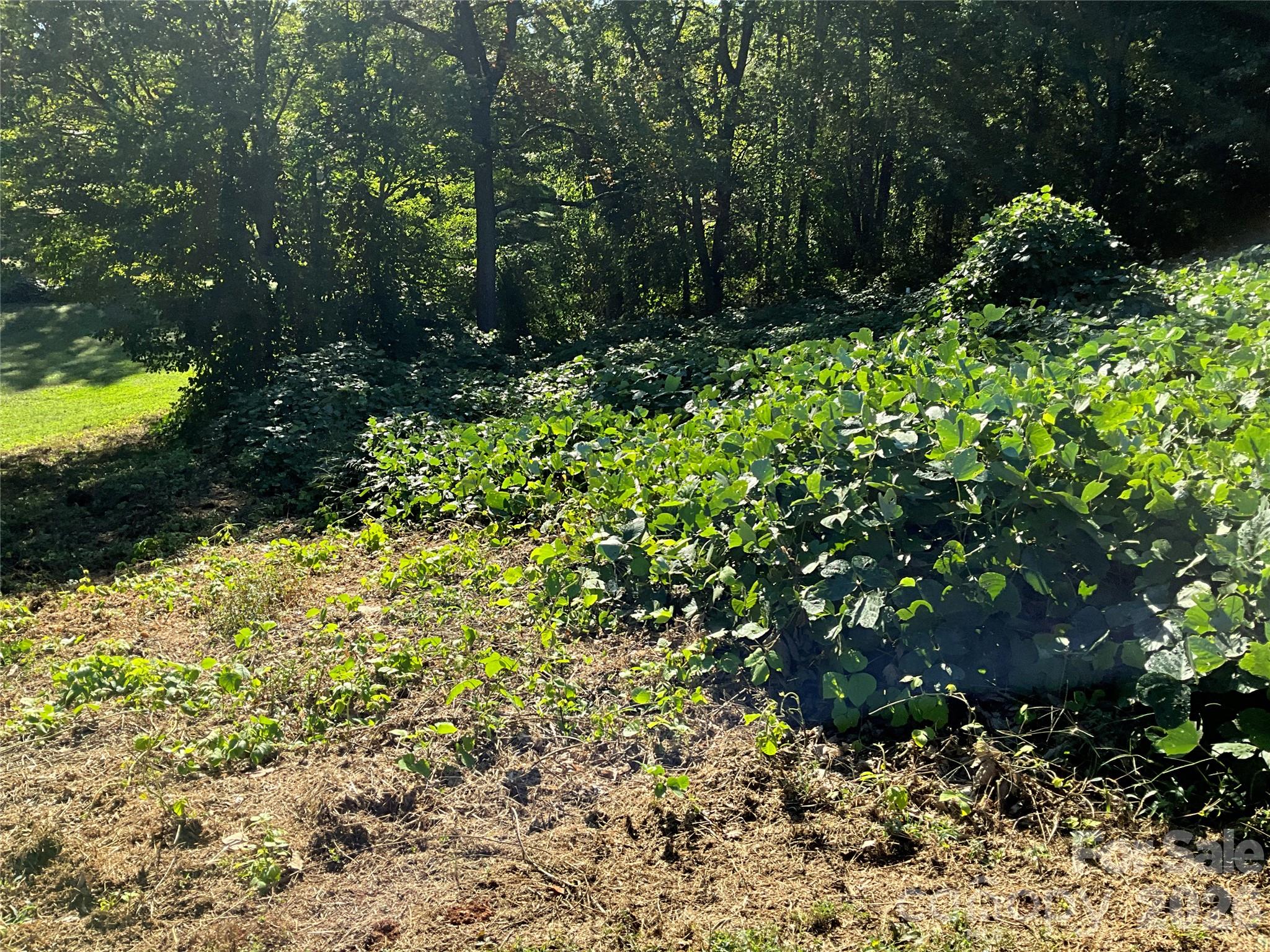 Lot at Lot 7 Macy Court, Taylorsville, photo 12 of 25