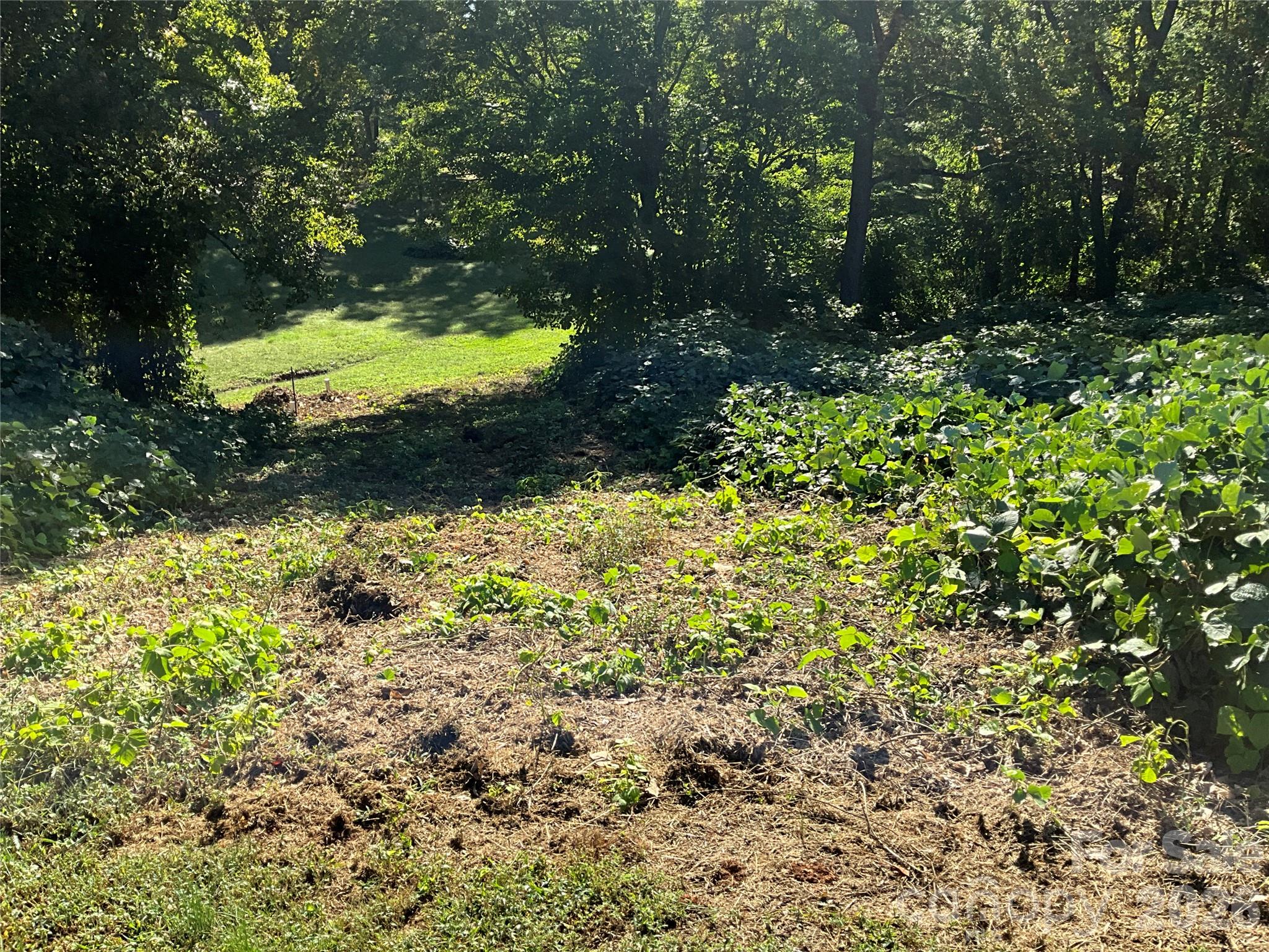 Lot at Lot 7 Macy Court, Taylorsville, photo 14 of 25