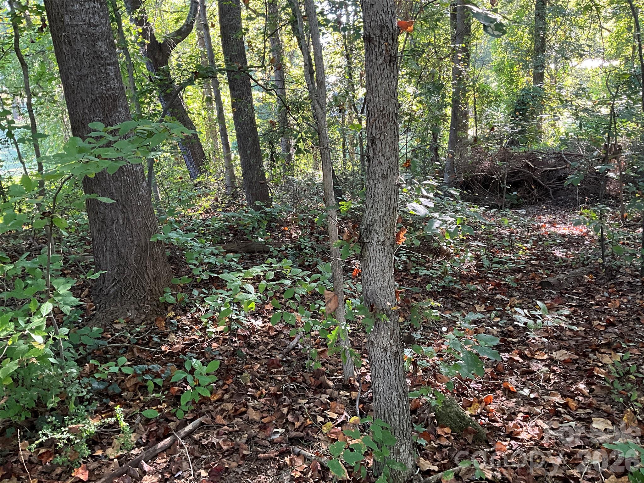 Lot at Lot 7 Macy Court, Taylorsville, photo 17 of 25