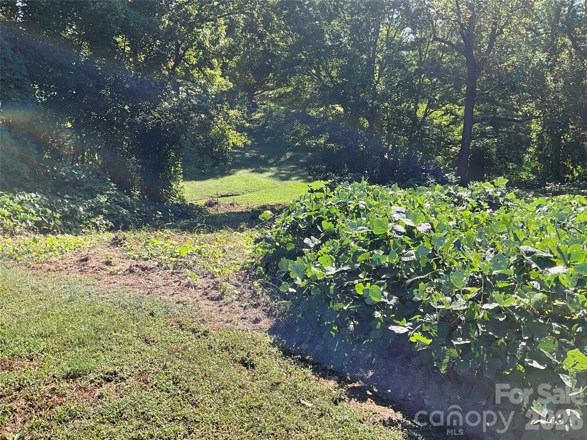Lot at Lot 7 Macy Court, Taylorsville, photo 22 of 25