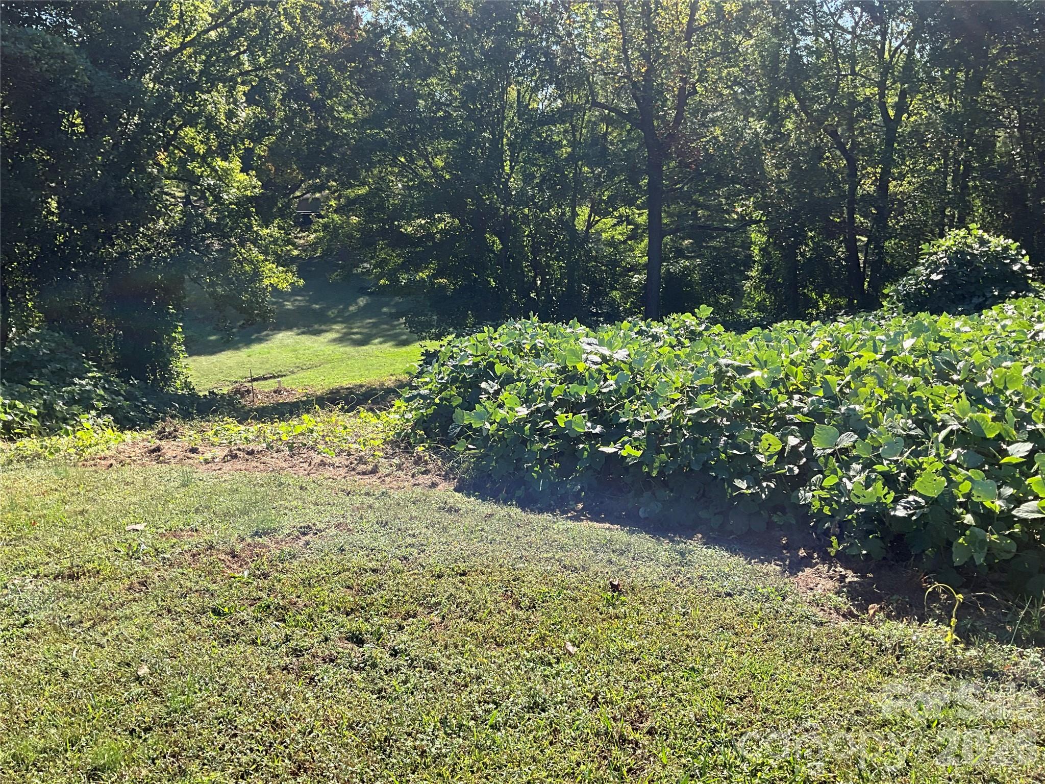Lot at Lot 7 Macy Court, Taylorsville, photo 23 of 25