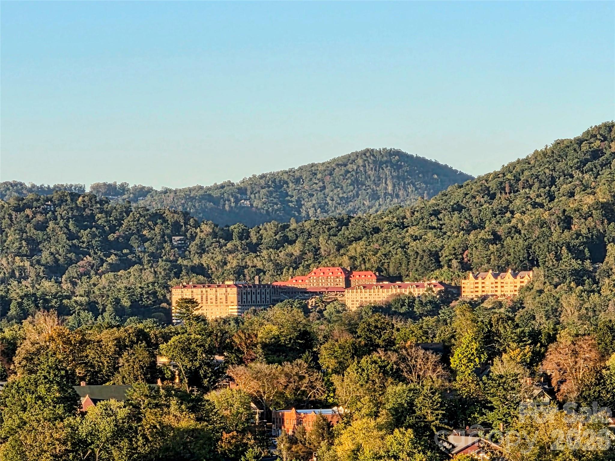 Condominium at 21 Battery Park Avenue, Asheville, photo 36 of 39