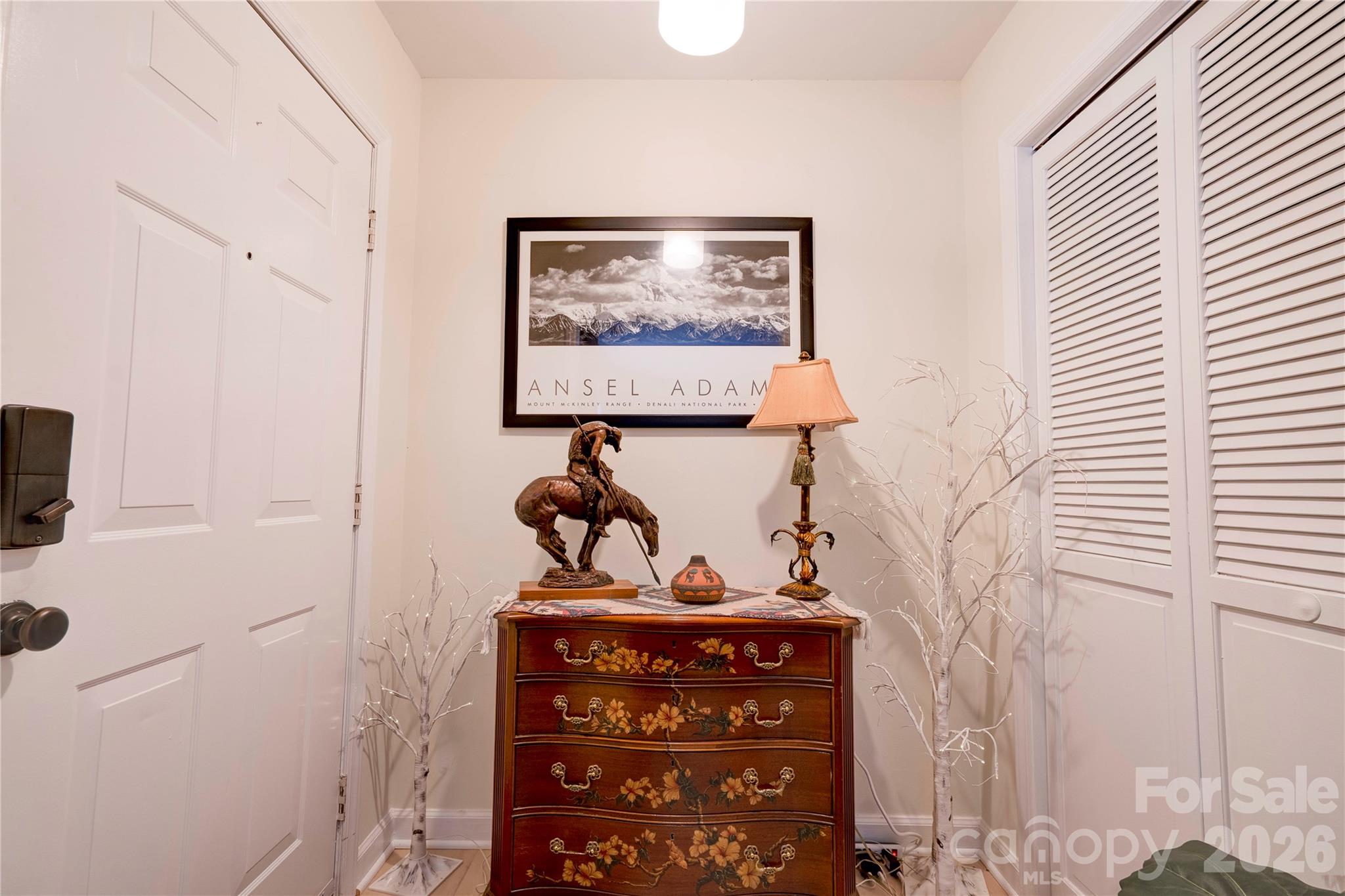 Foyer and drop zone closet - 301 Pinkney Street, Shelby