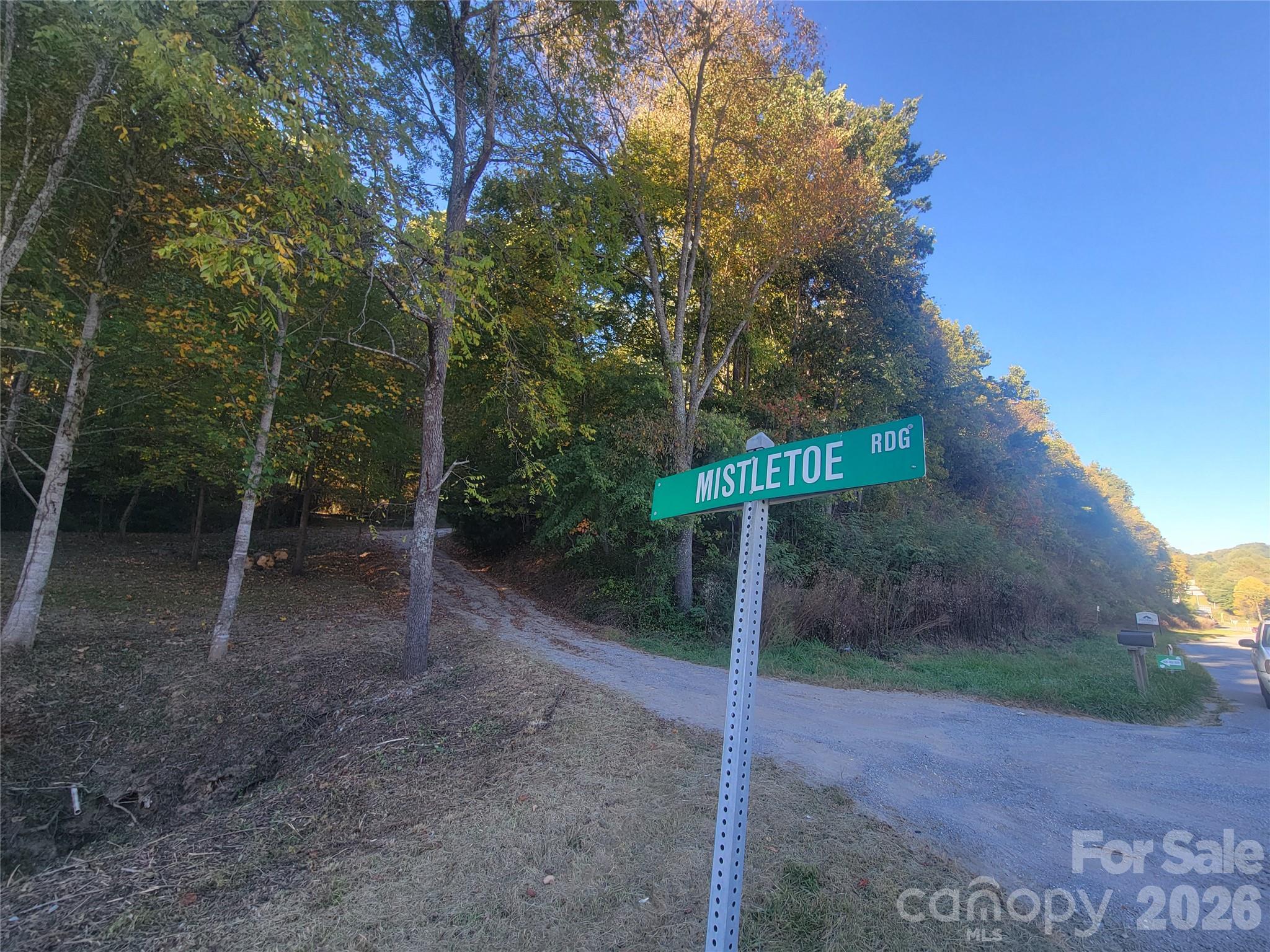 Lot at 31 Mistletoe Ridge, Waynesville, photo 13 of 27