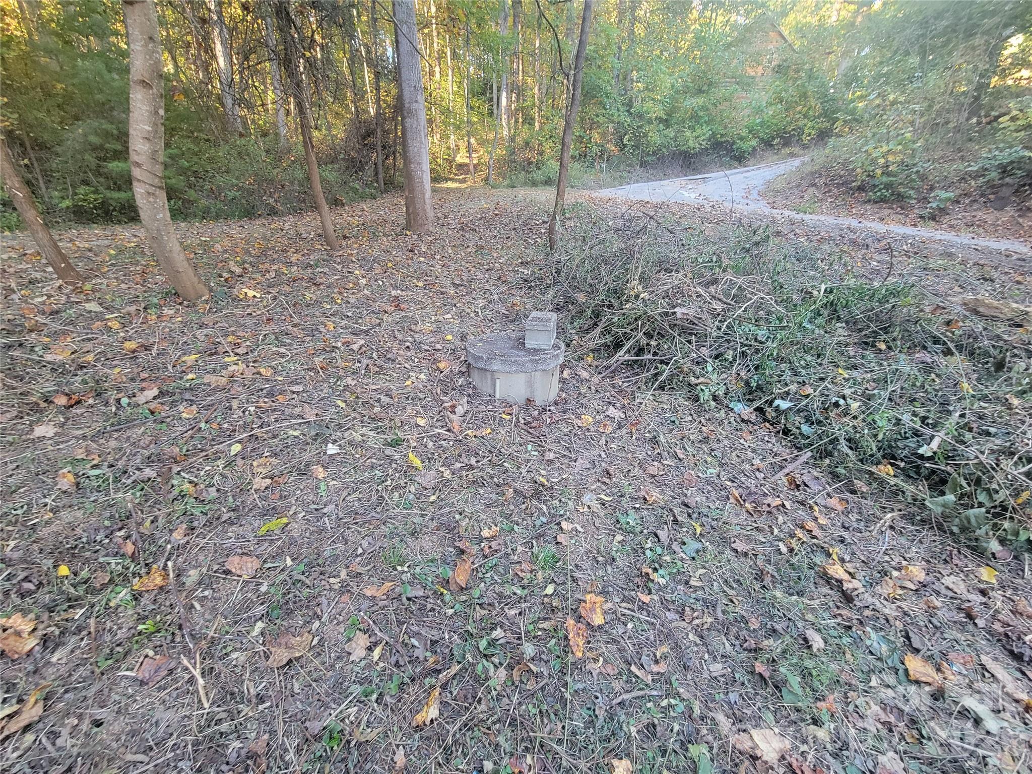 Lot at 31 Mistletoe Ridge, Waynesville, photo 23 of 27
