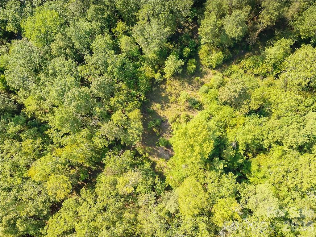 Acreage at 1439 Mount Holly Road, Rock Hill, photo 16 of 21