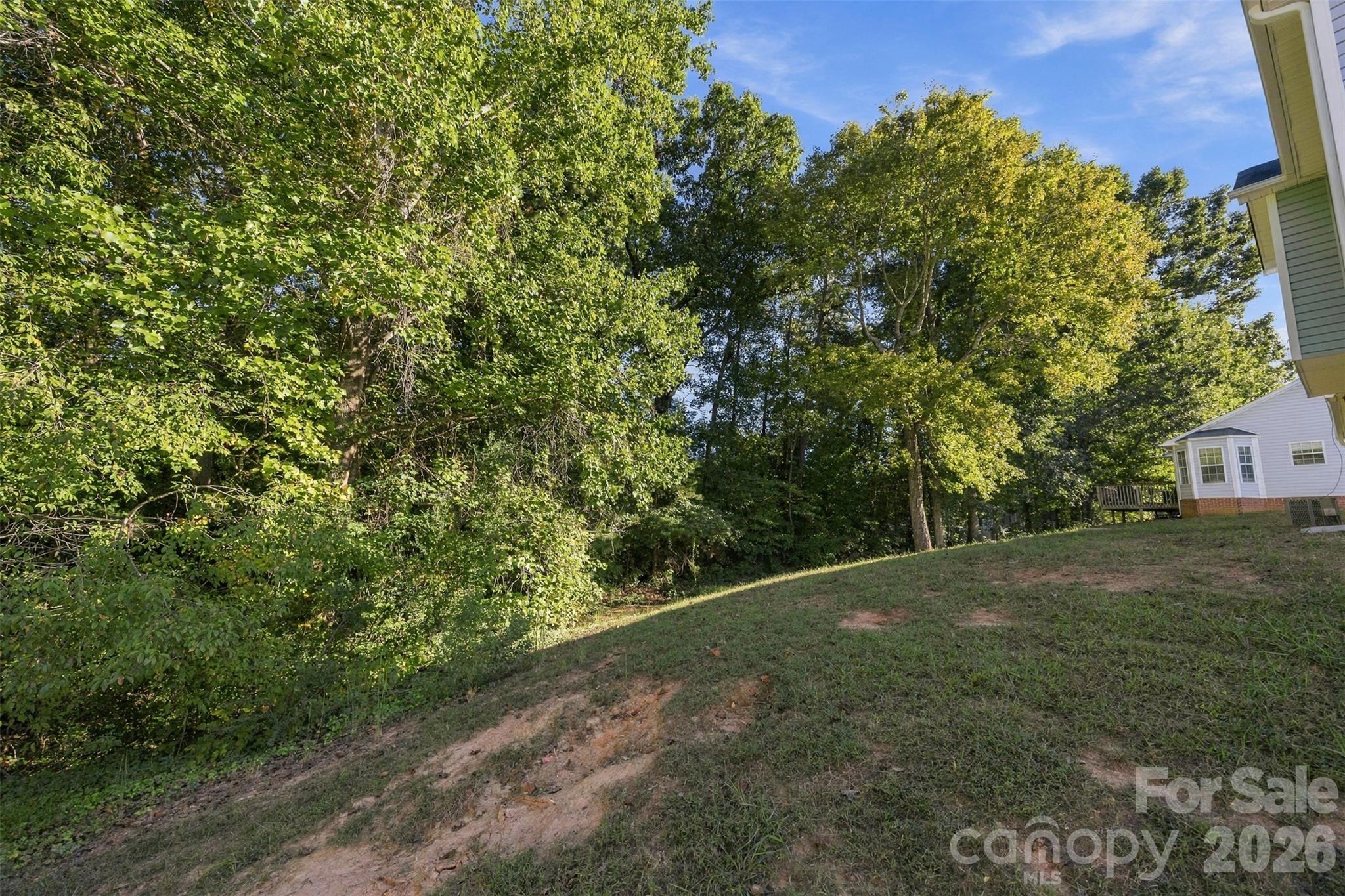 Private Back Yard - 2374 Eagle Glen Court, Gastonia