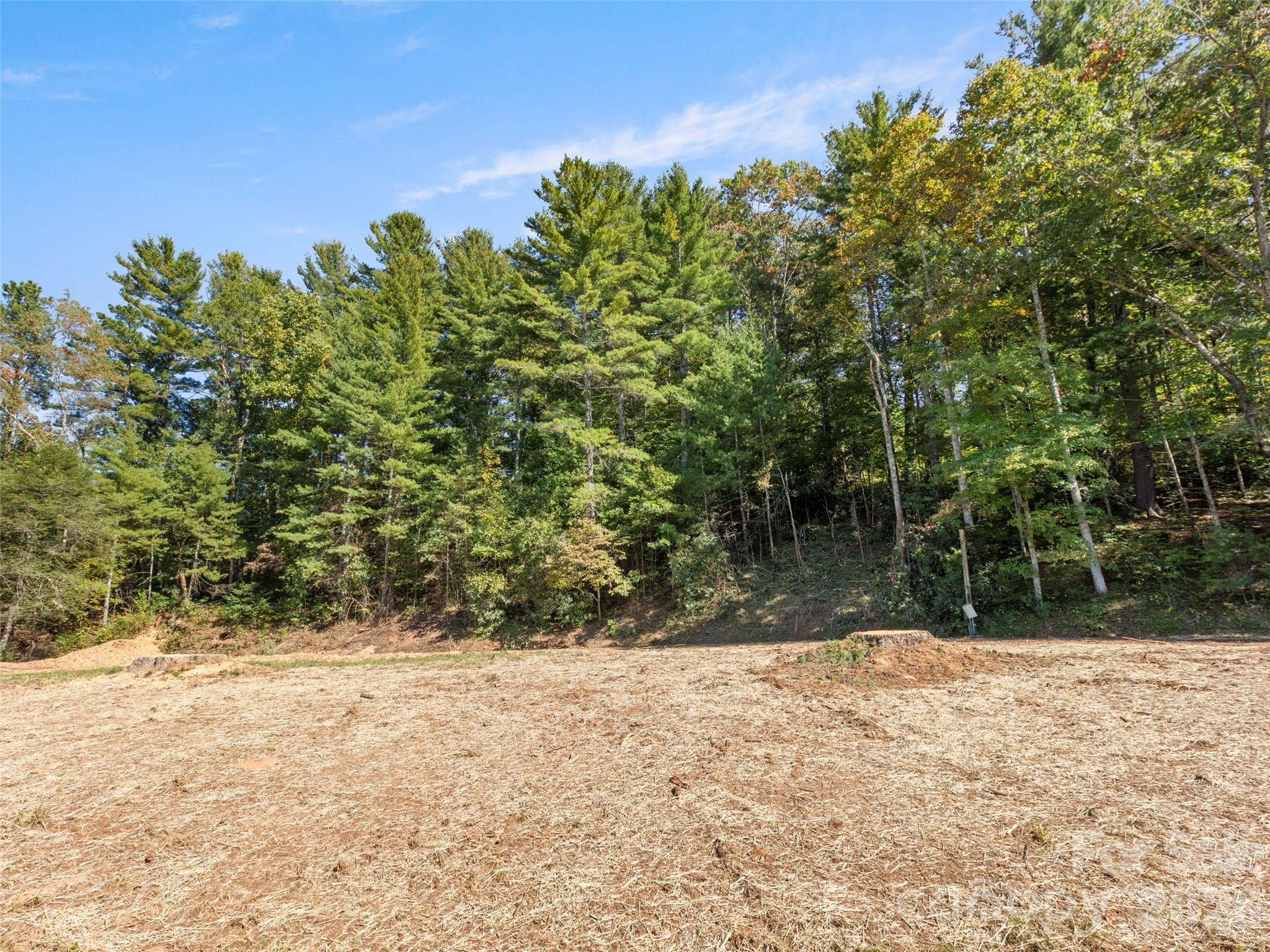 Lot at 920 Mills Gap Road, Fletcher, photo 6 of 13