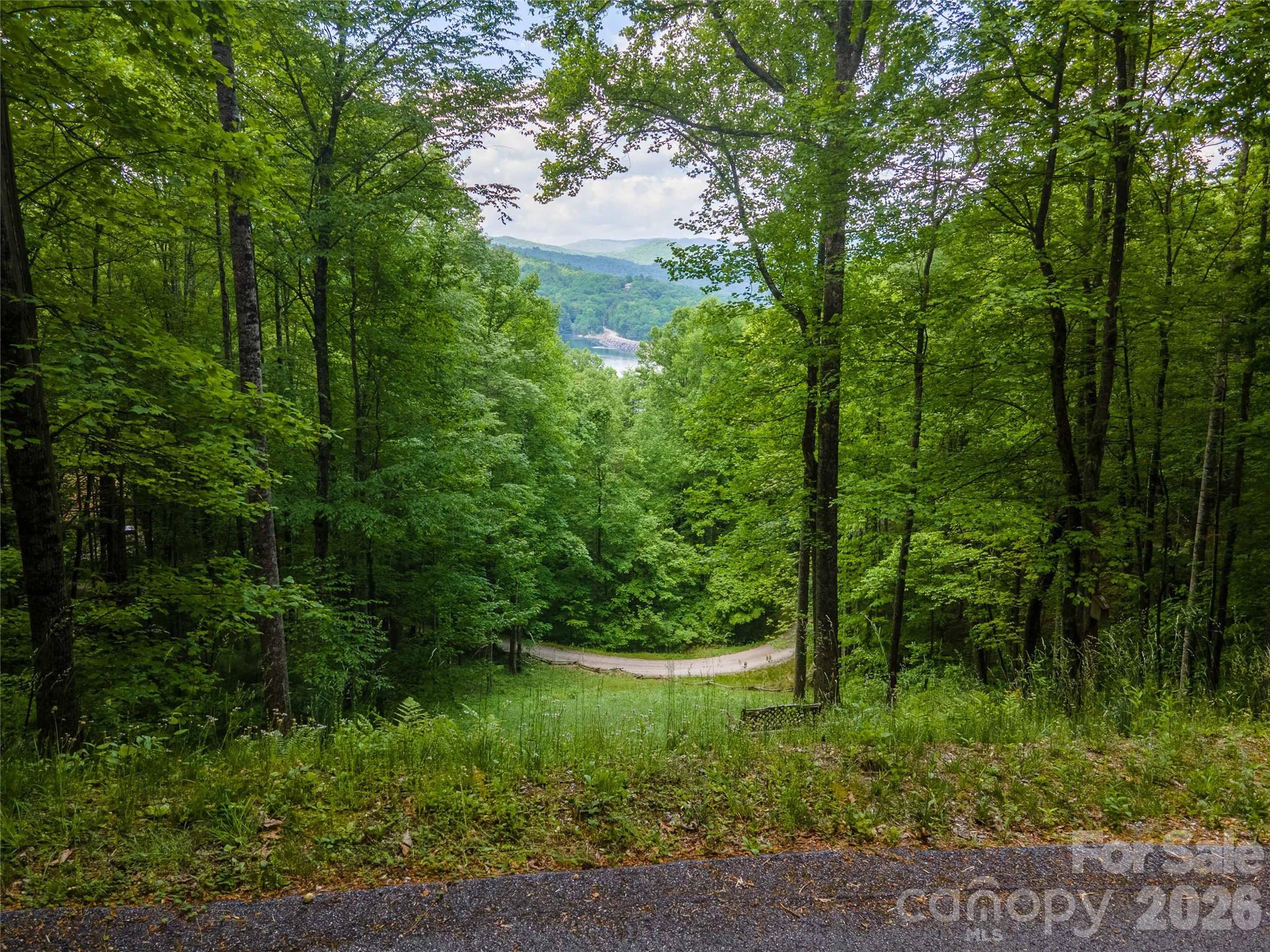 Lt 10 Von Trapp Lane
