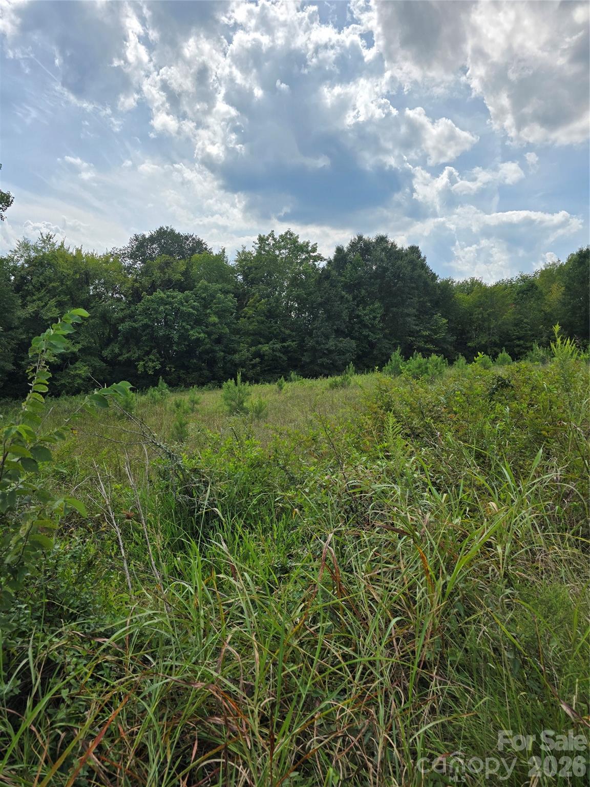 Unimproved Commercial at 1768 Concord Lake Road, Kannapolis, photo 4 of 4