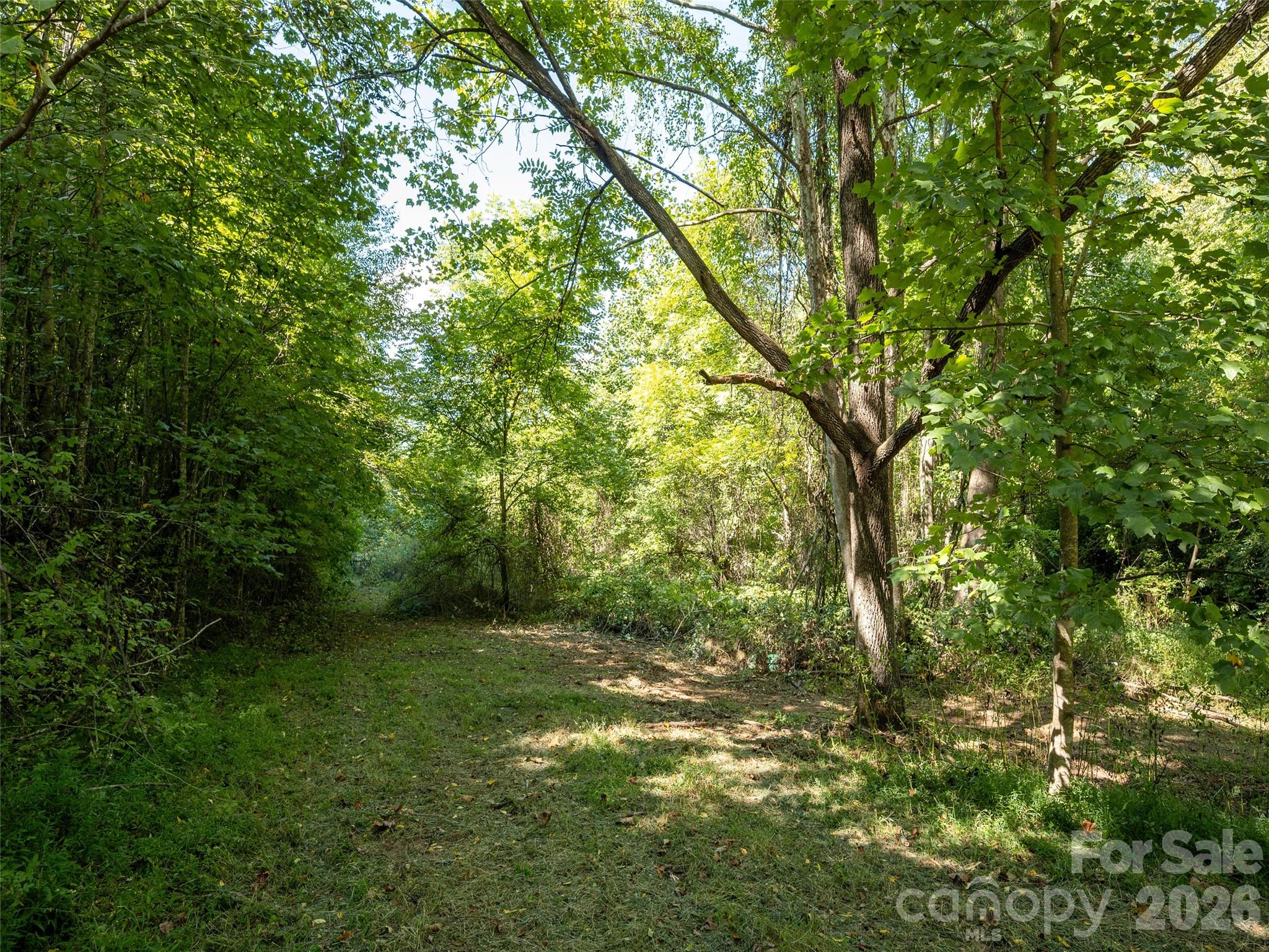 Lot at 00 Newfound Road, Leicester, photo 13 of 13