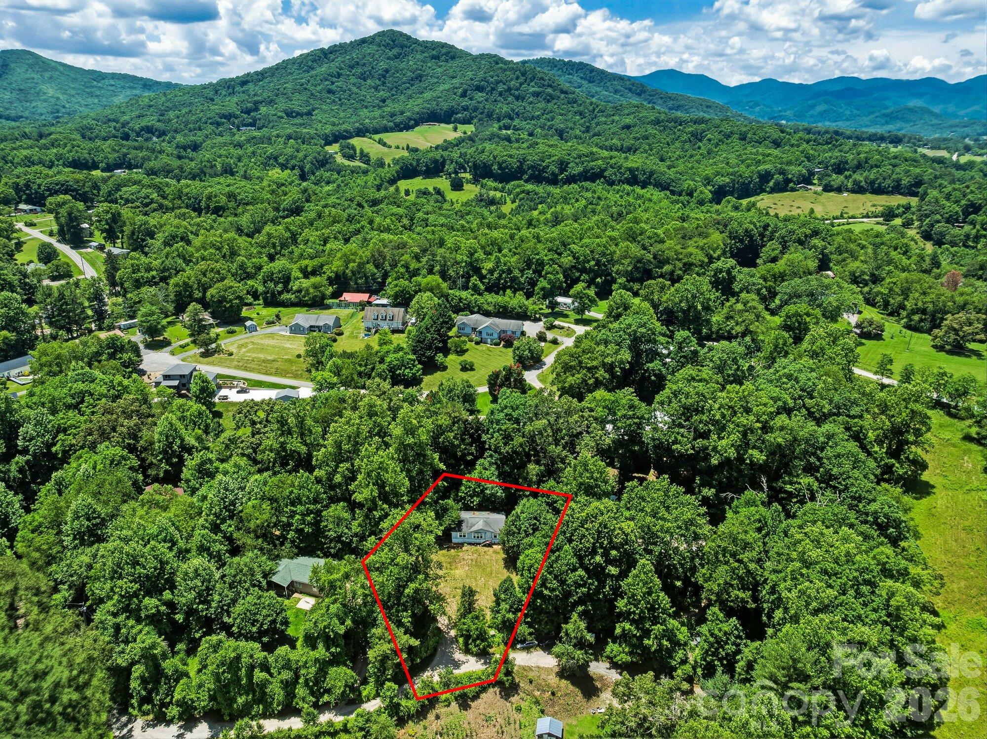 Portfolio at 61 State Street, Asheville, photo 4 of 10