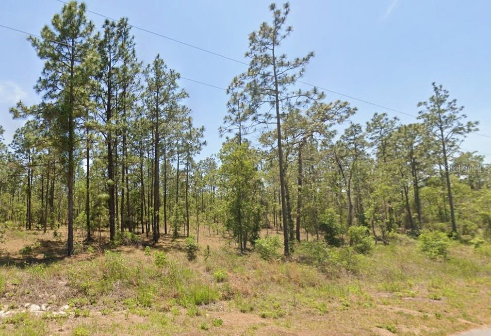 Land at 0 NW Water Oak Ave., DUNNELLON FL 34431