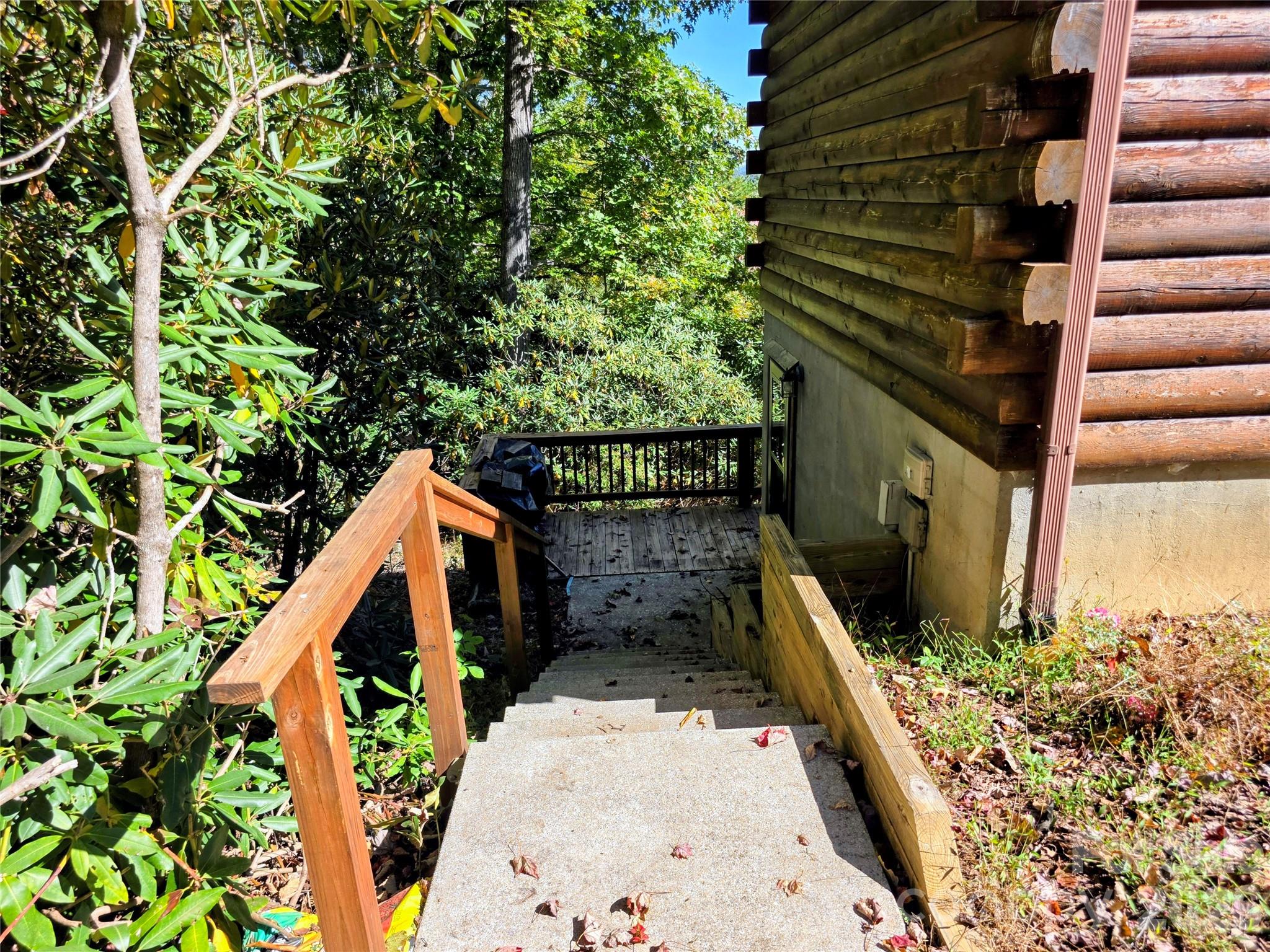 Steps to outside entrance to the lower level - 105 Poplar Ridge Lane, Burnsville