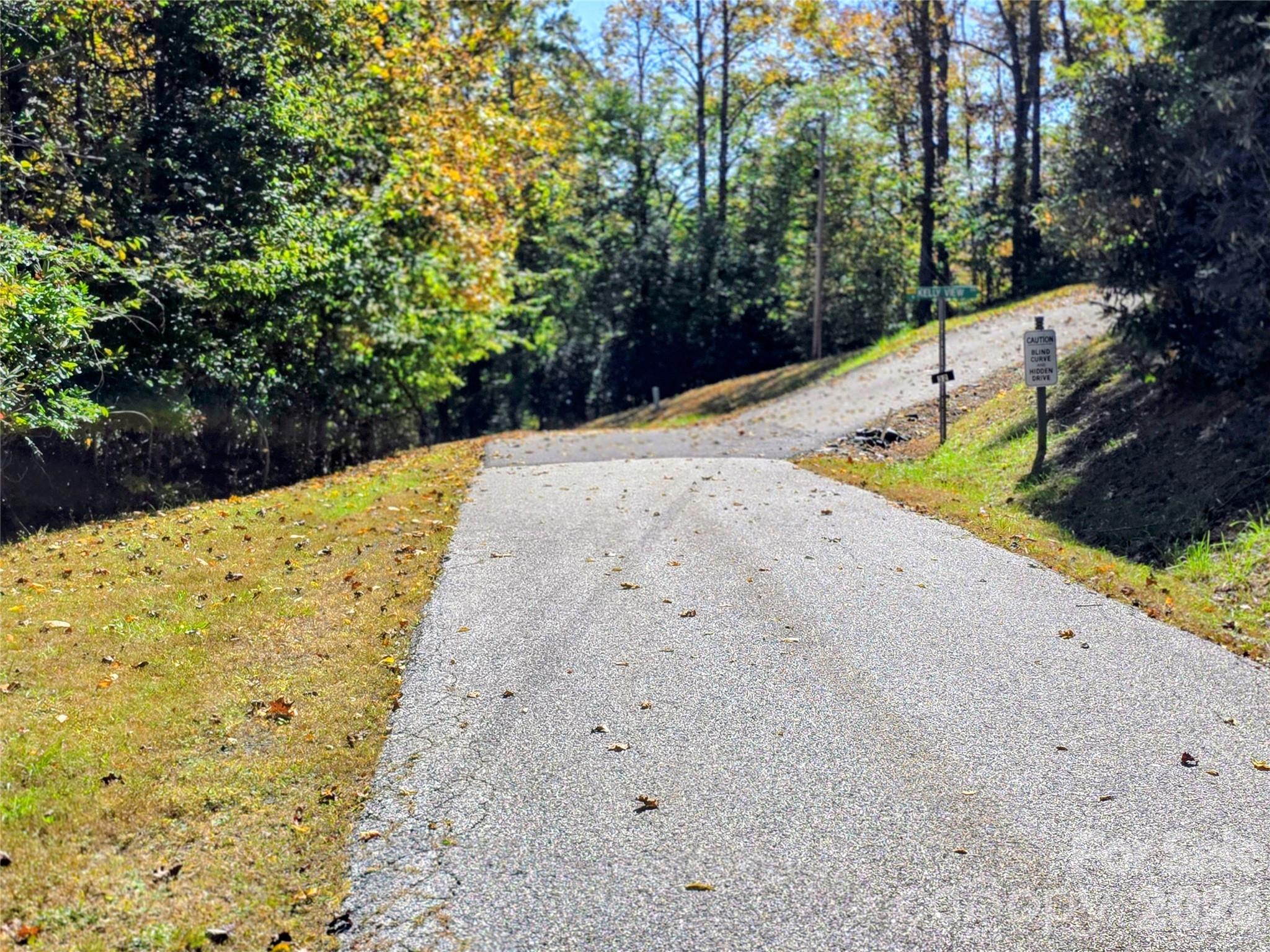 Poplar Ridge Lane with Kelly View Drive in the background - 105 Poplar Ridge Lane, Burnsville