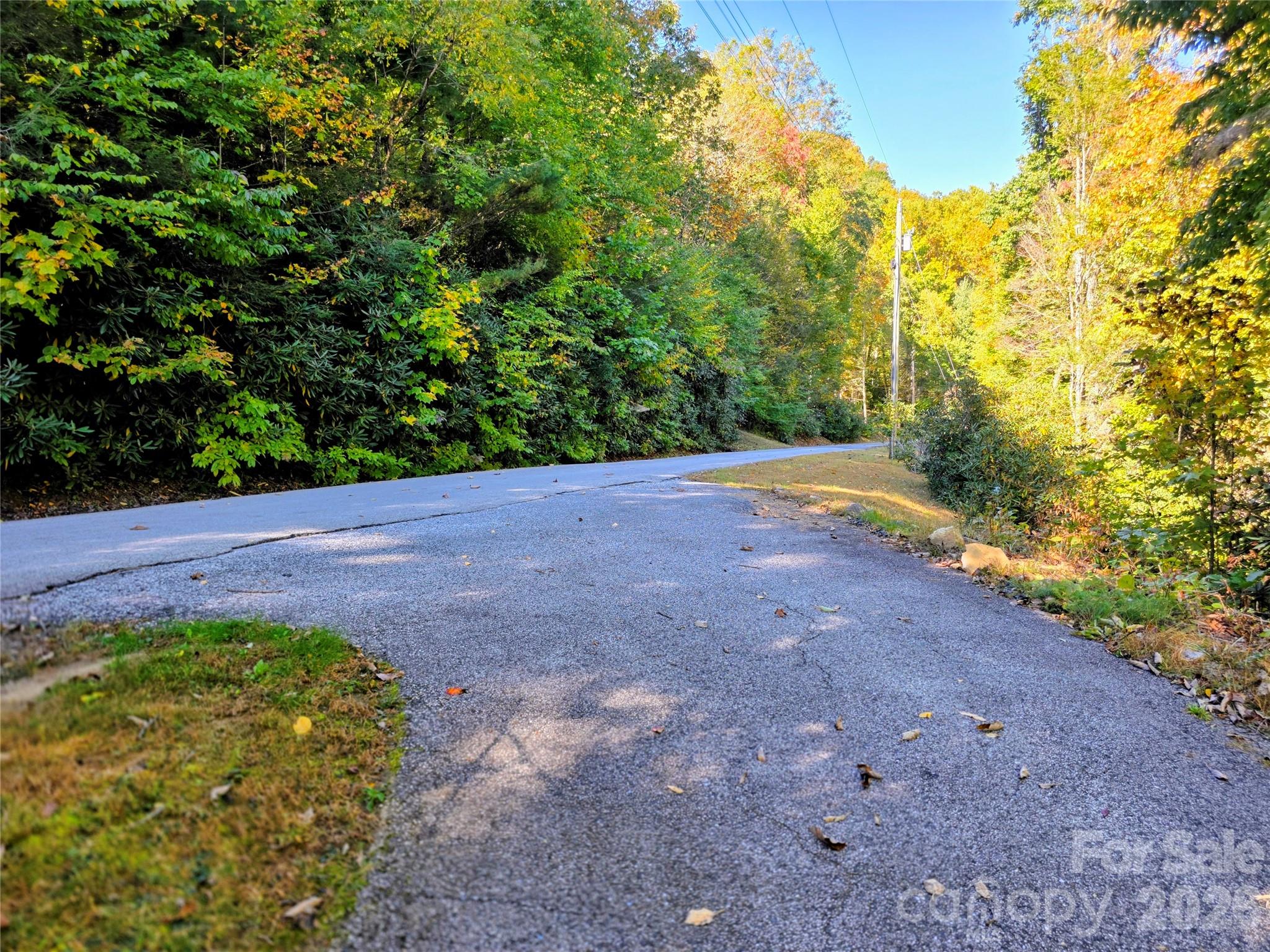 Intersection of the paved driveway with Poplar Ridge Lane - 105 Poplar Ridge Lane, Burnsville