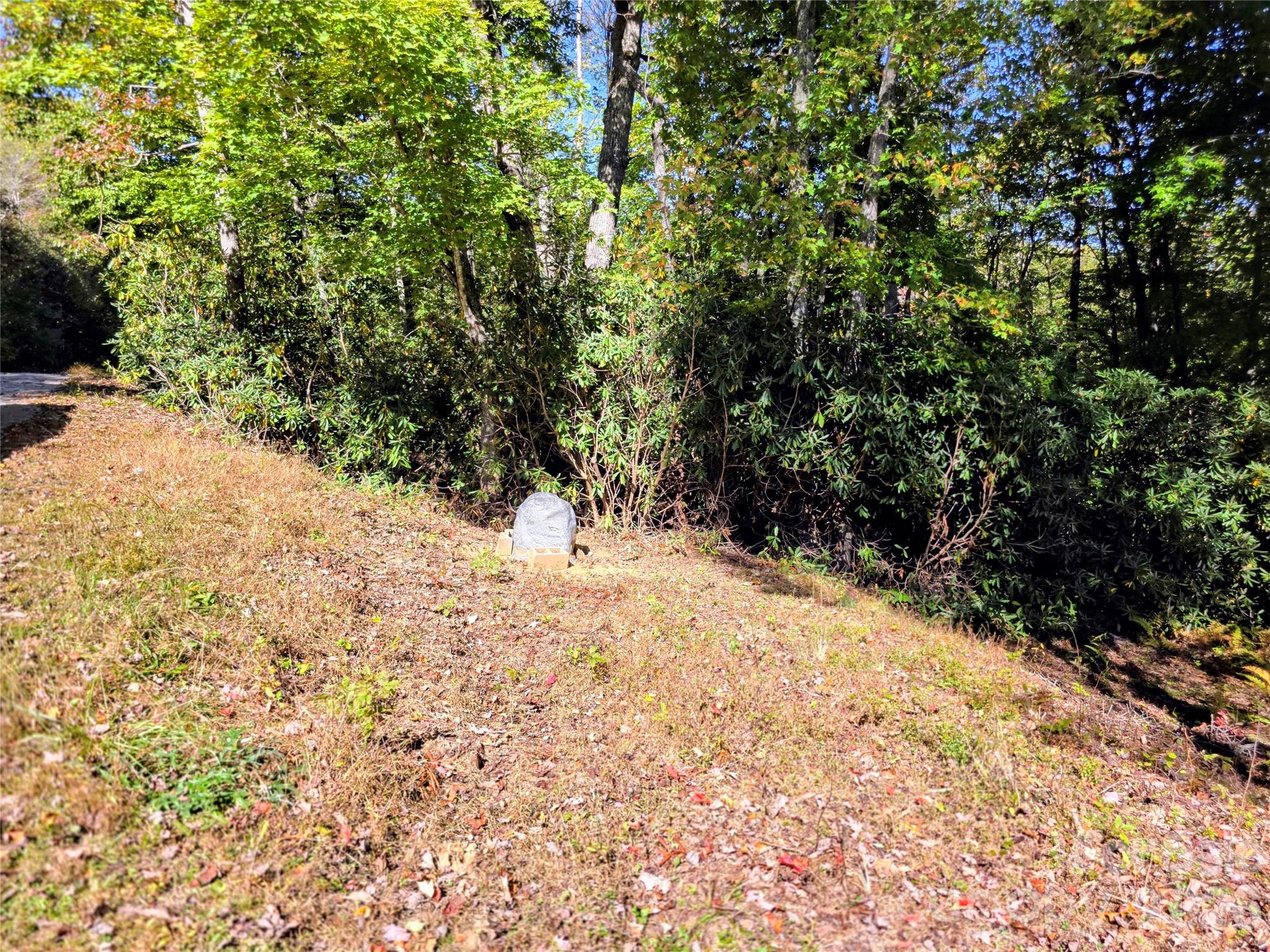 Well located on the western side of the property - 105 Poplar Ridge Lane, Burnsville