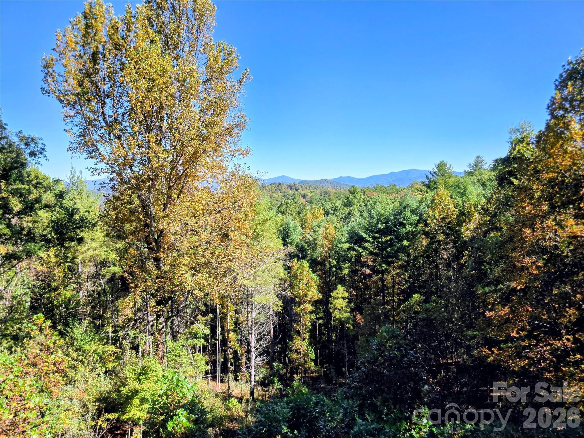 Mountain view from the main level - 105 Poplar Ridge Lane, Burnsville