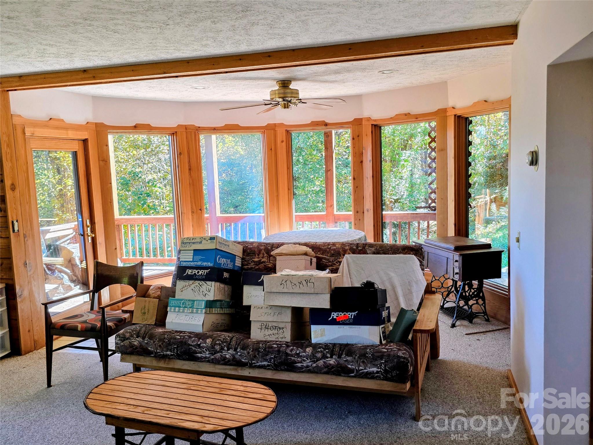 Lower level den - 105 Poplar Ridge Lane, Burnsville