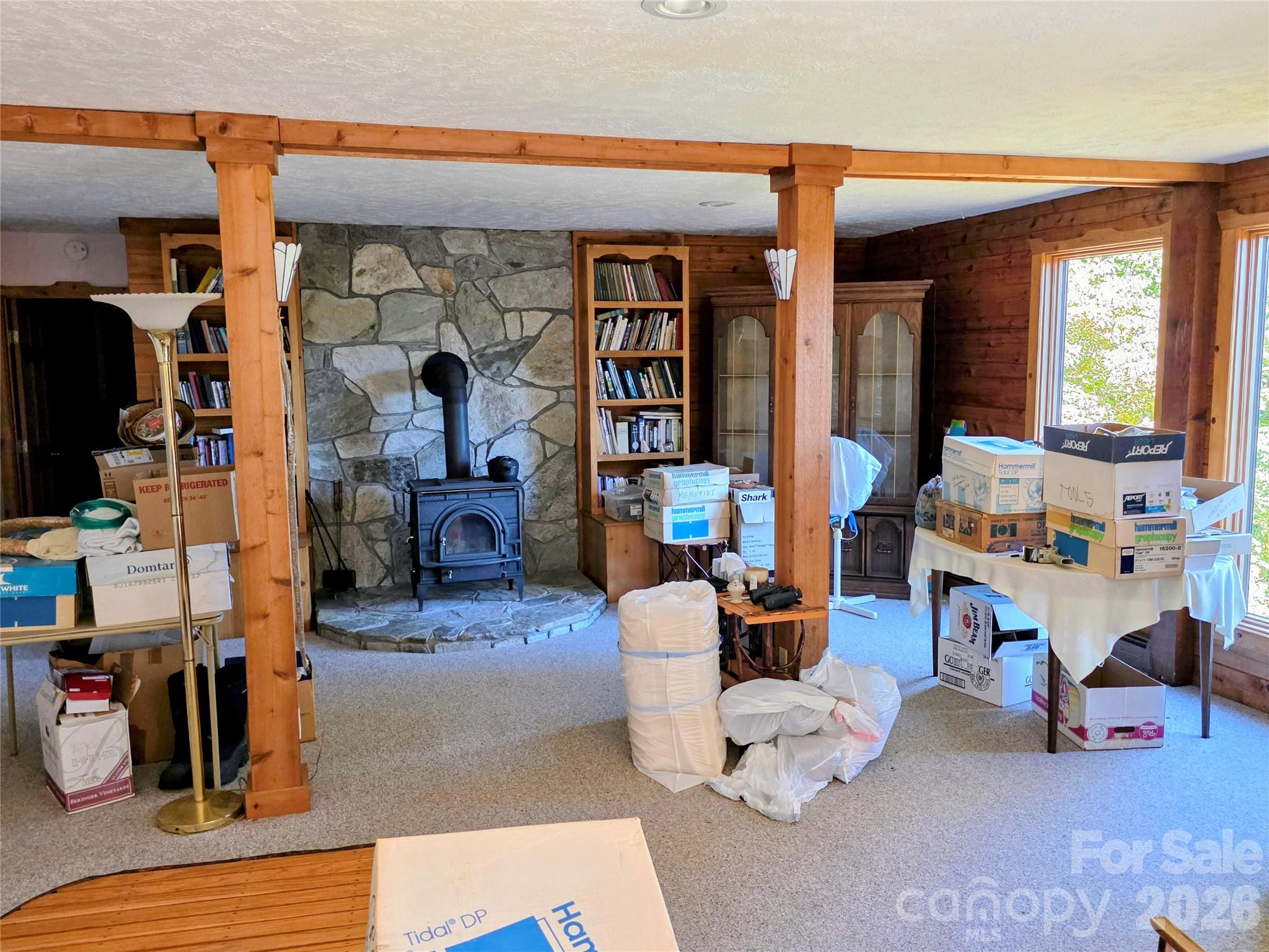Finished lower-level den with wood stove - 105 Poplar Ridge Lane, Burnsville