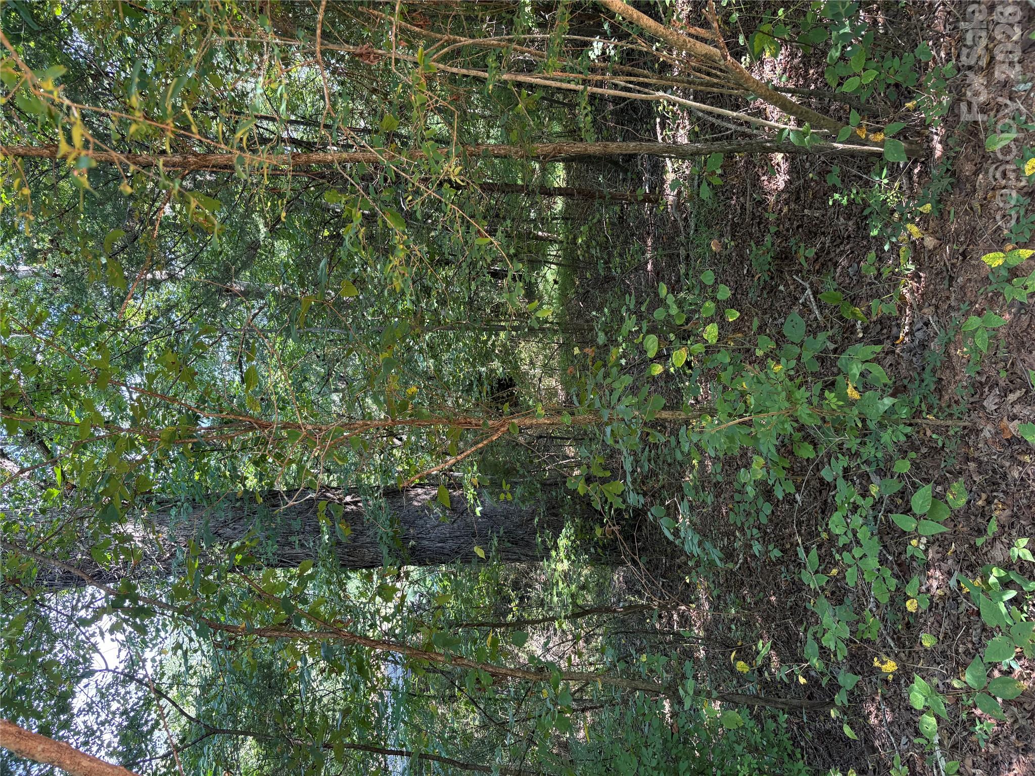 Lot at TBD Bedford Creek Road, Ellenboro