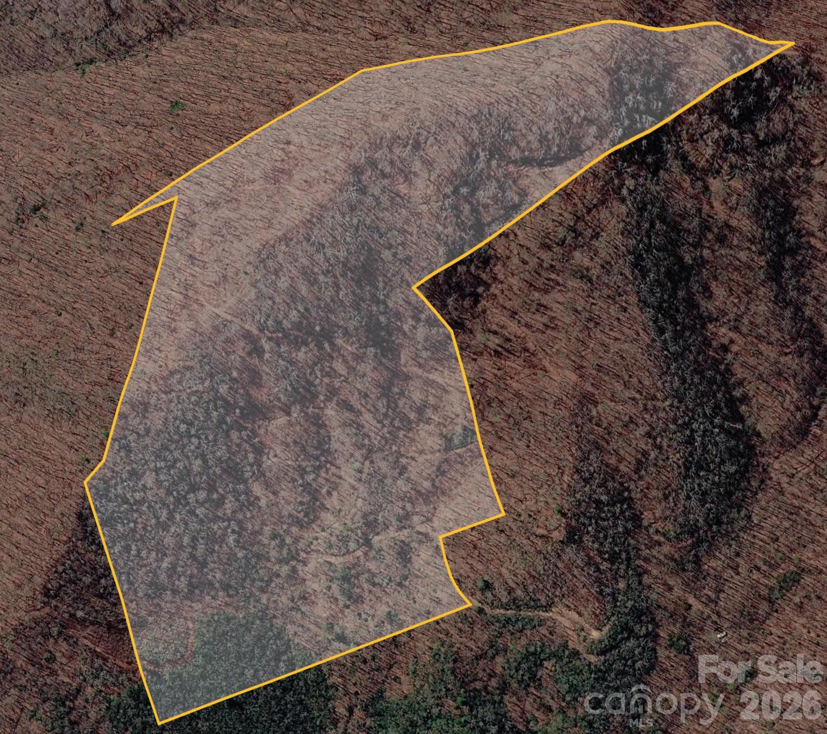 Google Earth 3d - 0 Wiggins Creek Road, Bryson City