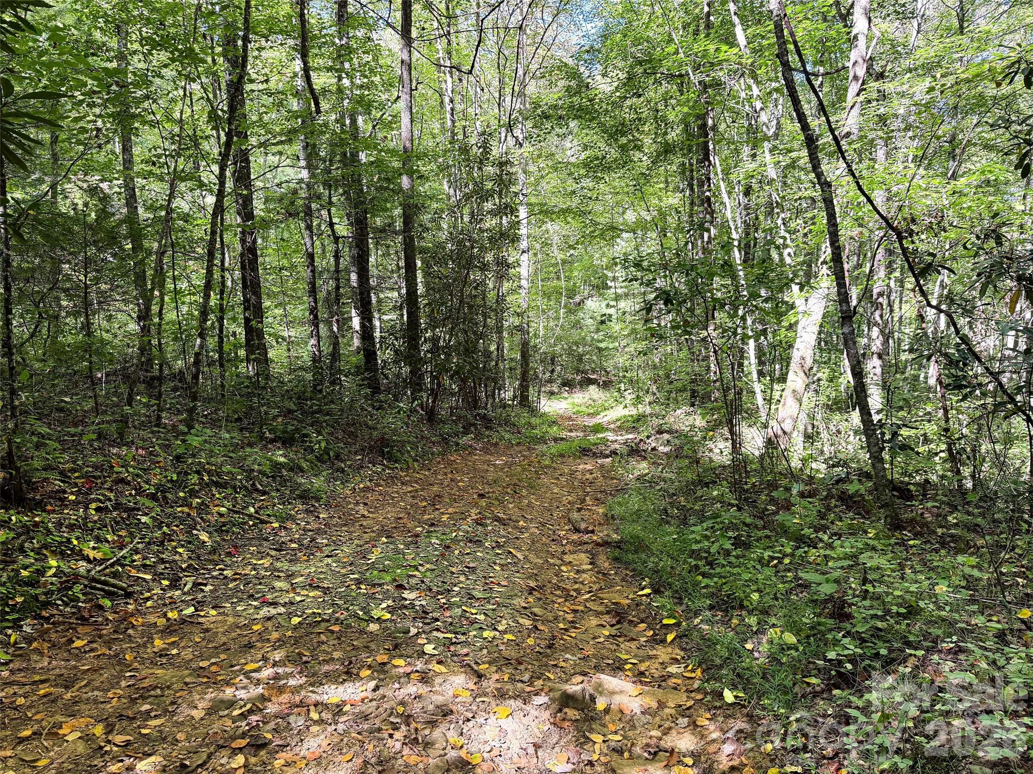 Logging Road on Property - 0 Wiggins Creek Road, Bryson City