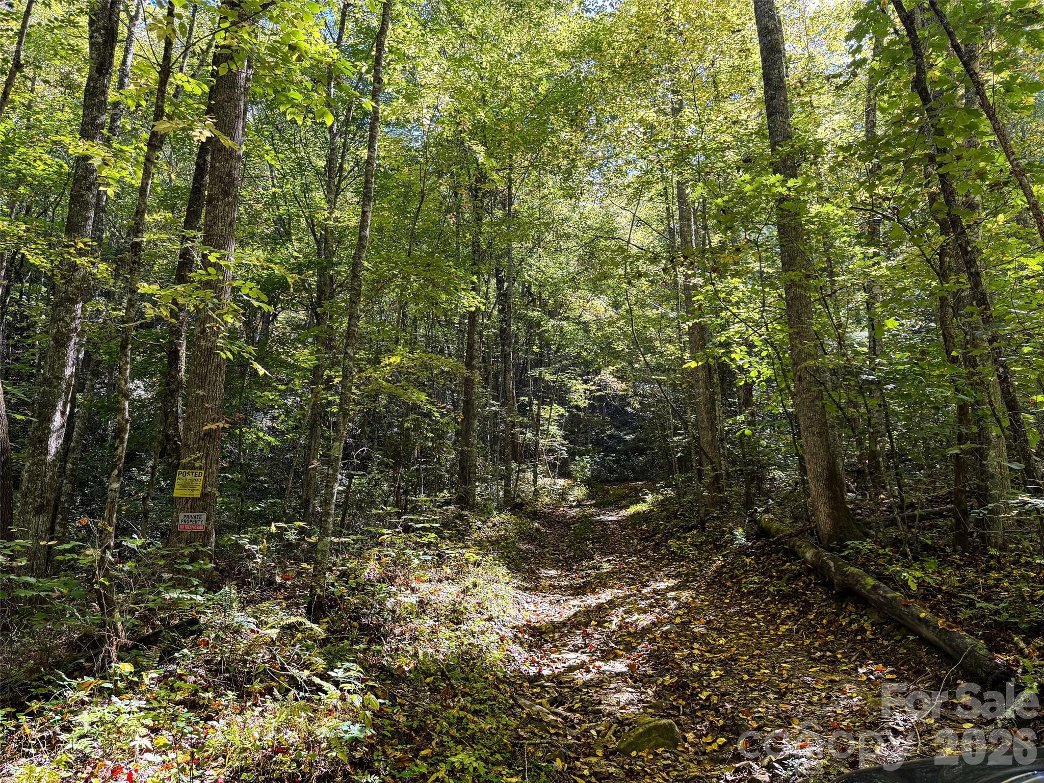 Logging Road on Property - 0 Wiggins Creek Road, Bryson City