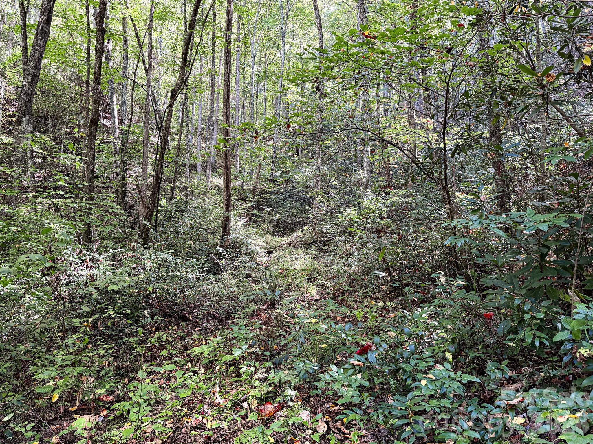 Lot at 0 Wiggins Creek Road, Bryson City, photo 12 of 20