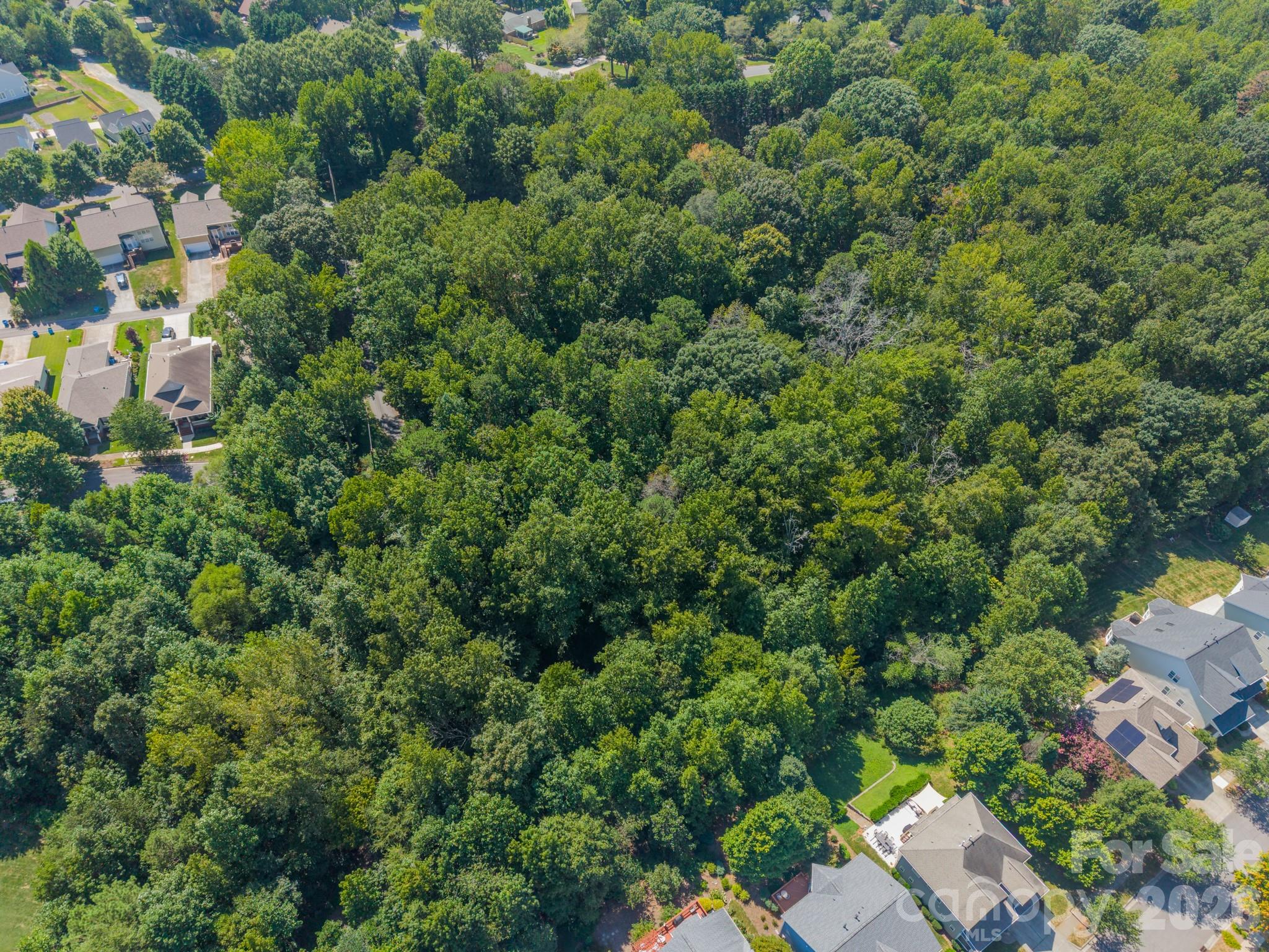 Lot at 0 Phyliss Lane, Mint Hill, photo 6 of 11
