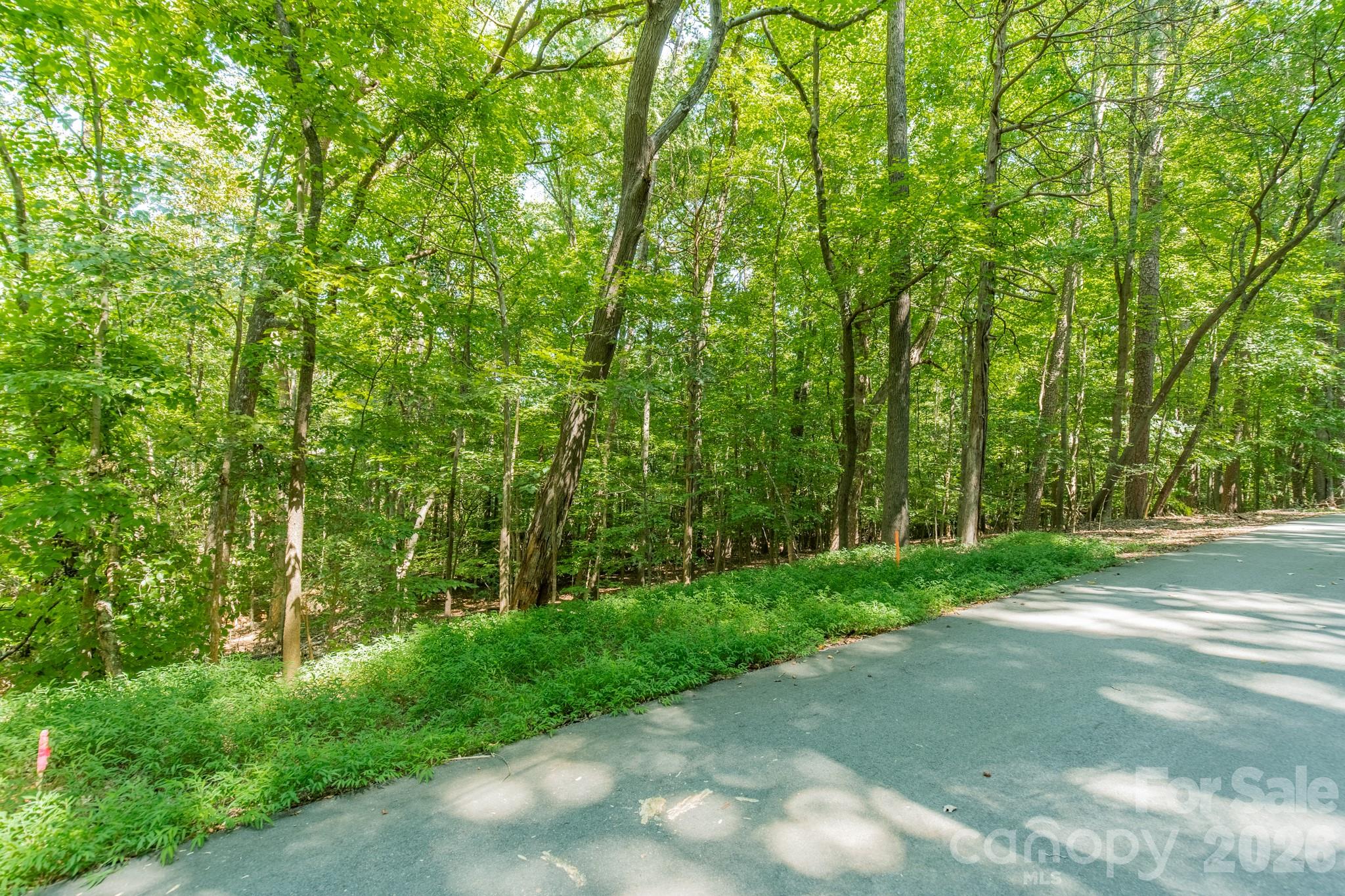 Lot at 0 Phyliss Lane, Mint Hill, photo 8 of 11