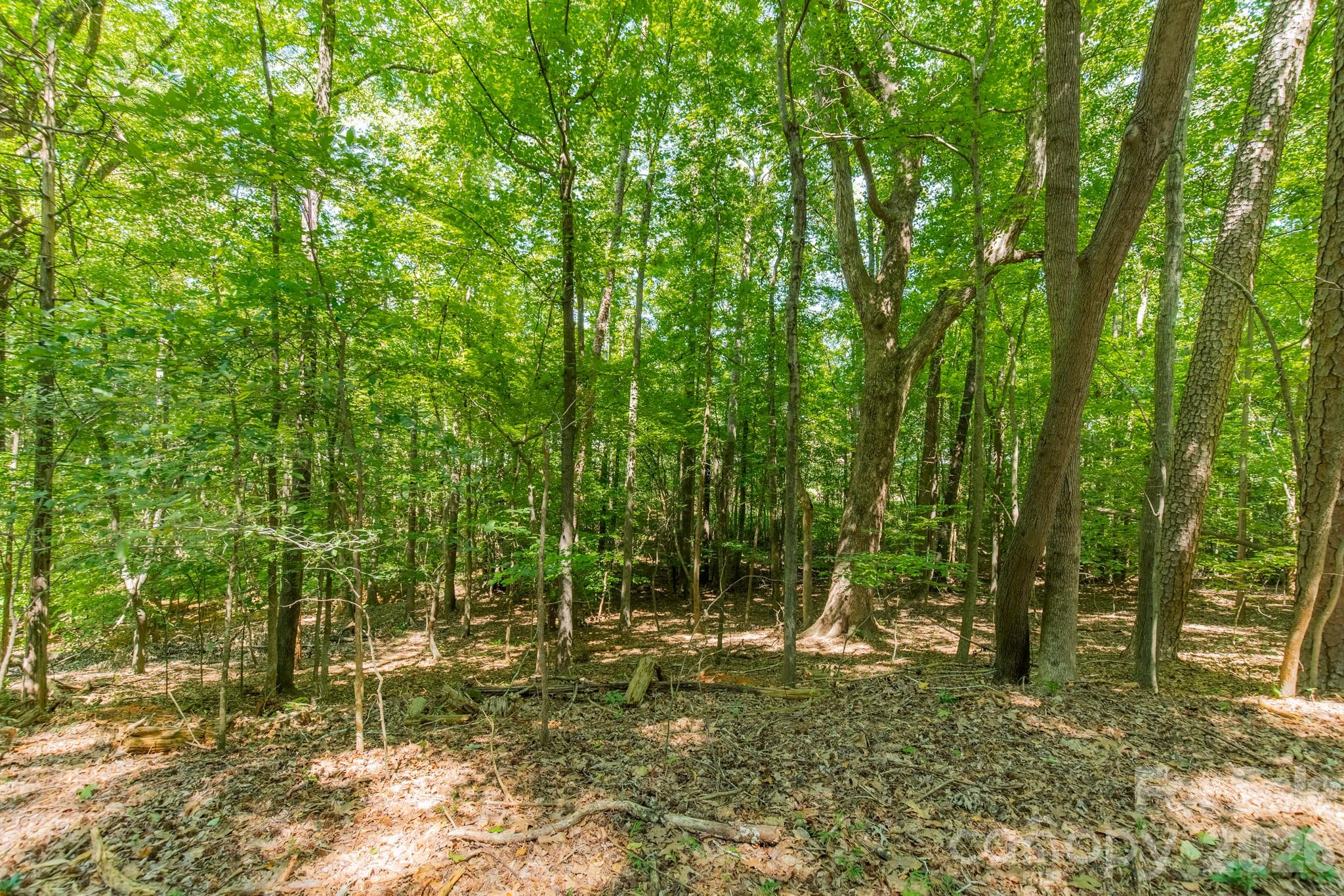 Lot at 0 Phyliss Lane, Mint Hill, photo 9 of 11