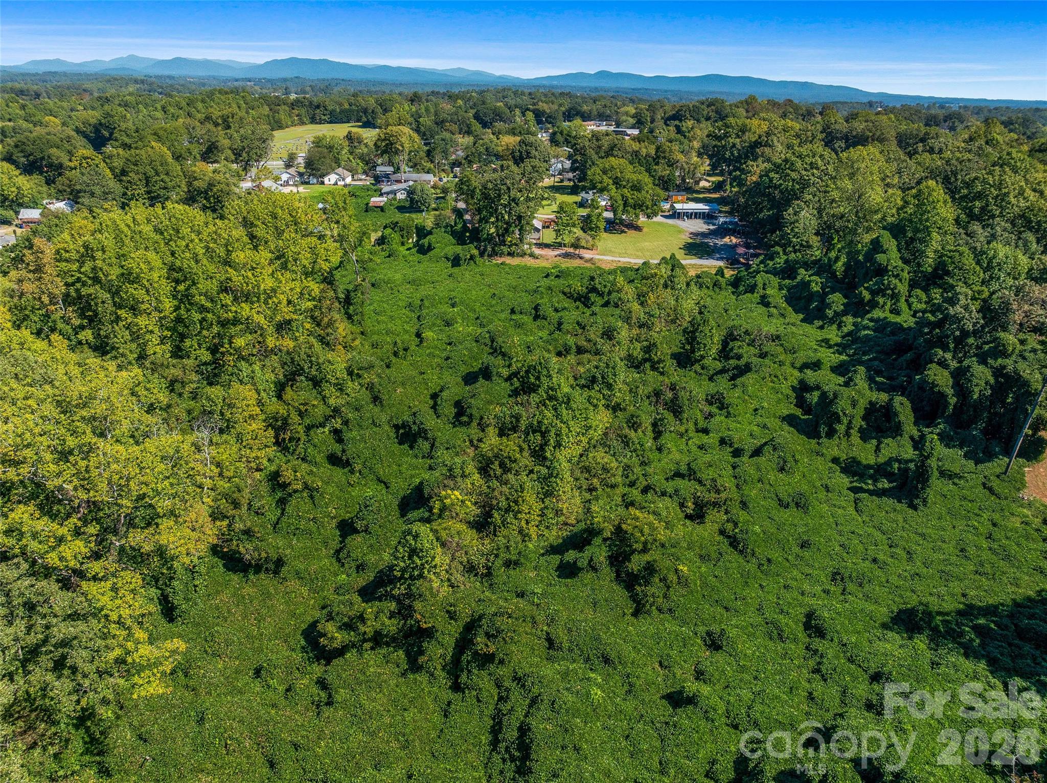 Acreage at 99999 Green Street, Rutherfordton, photo 9 of 18