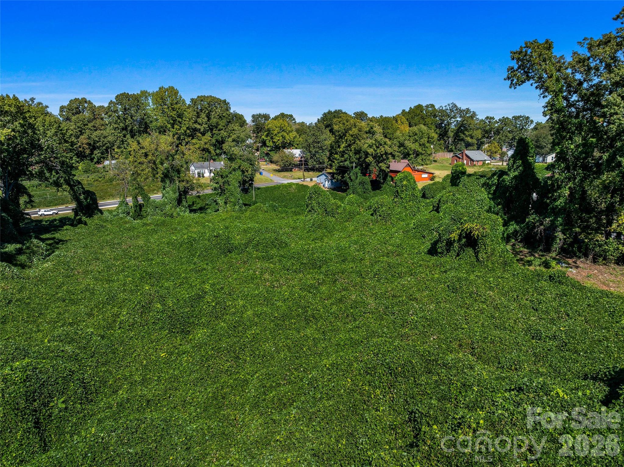 Acreage at 99999 Green Street, Rutherfordton, photo 11 of 18