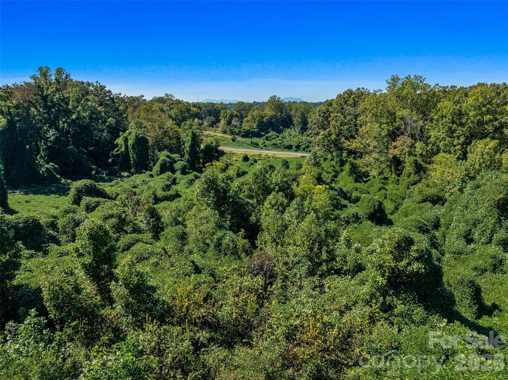 Acreage at 99999 Green Street, Rutherfordton, photo 13 of 18