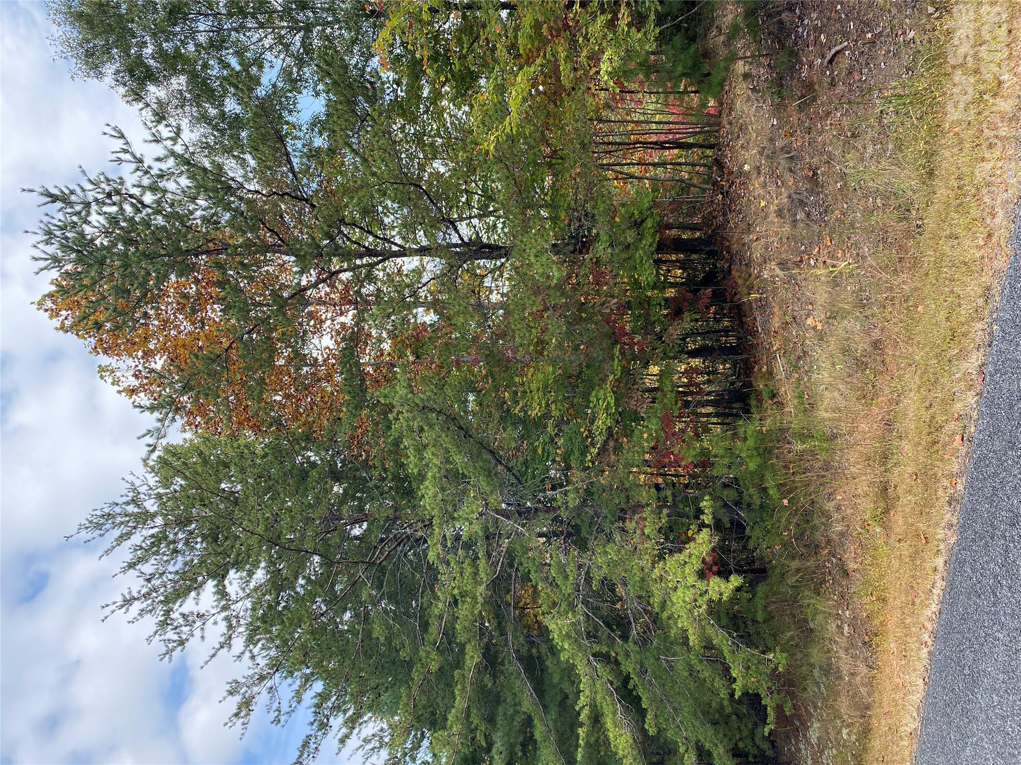 Lot at 54 Winghaven Drive, Nebo, photo 6 of 13